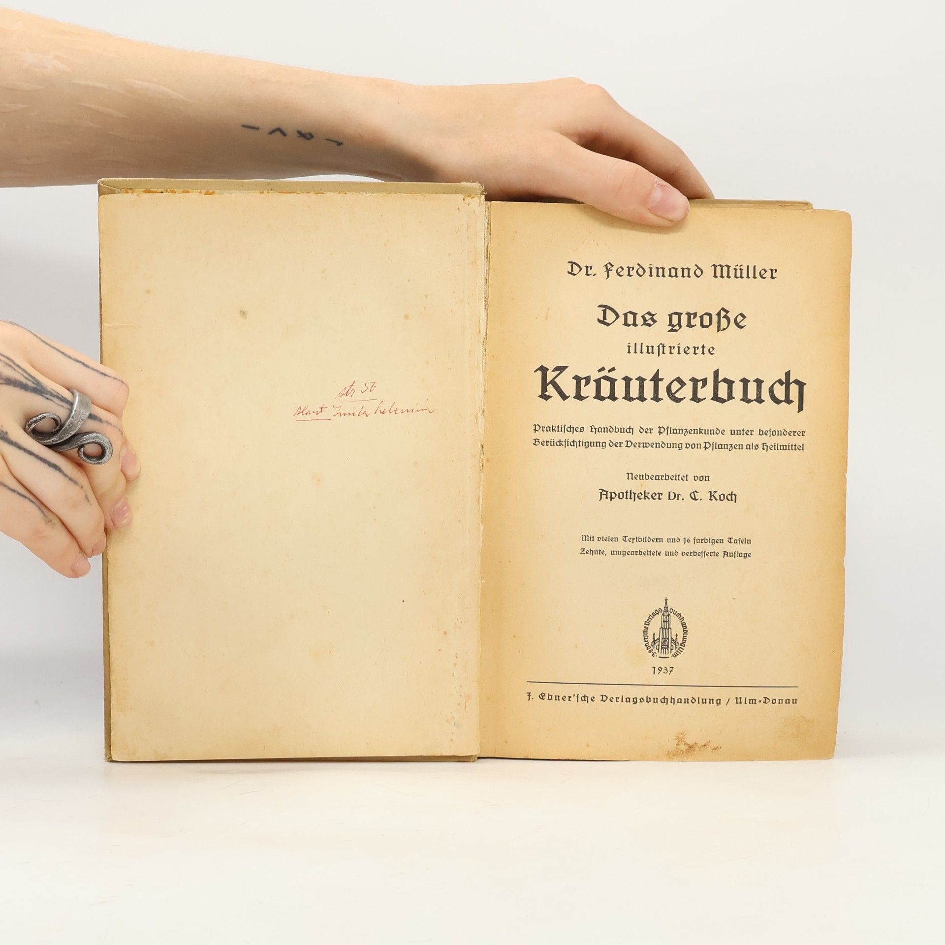 Ferdinand Müller Das große Kräuterbuch