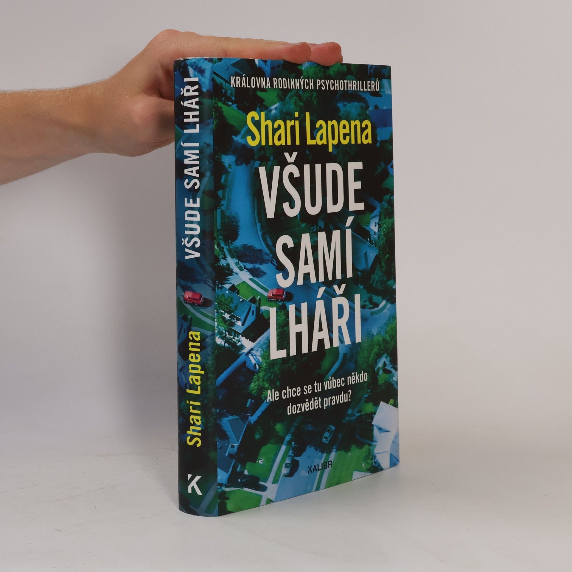 Shari Lapenová Všude samí lháři