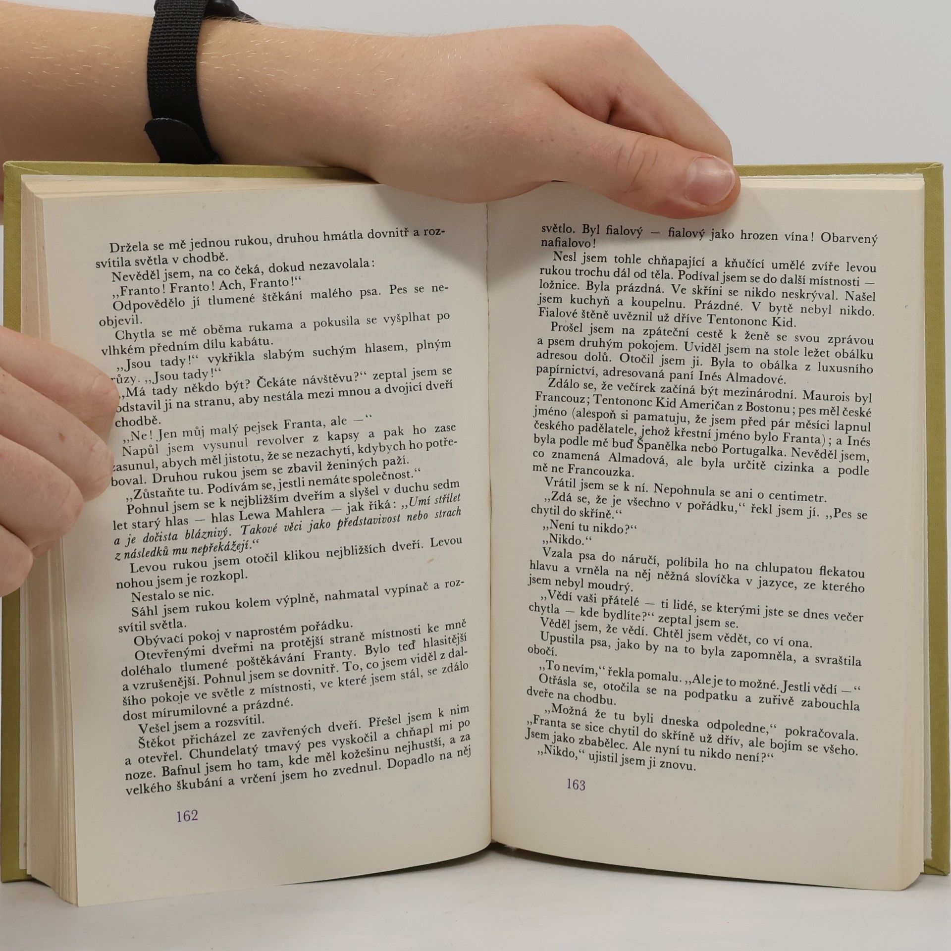 Dashiell Hammett Dívka se stříbrnýma očima