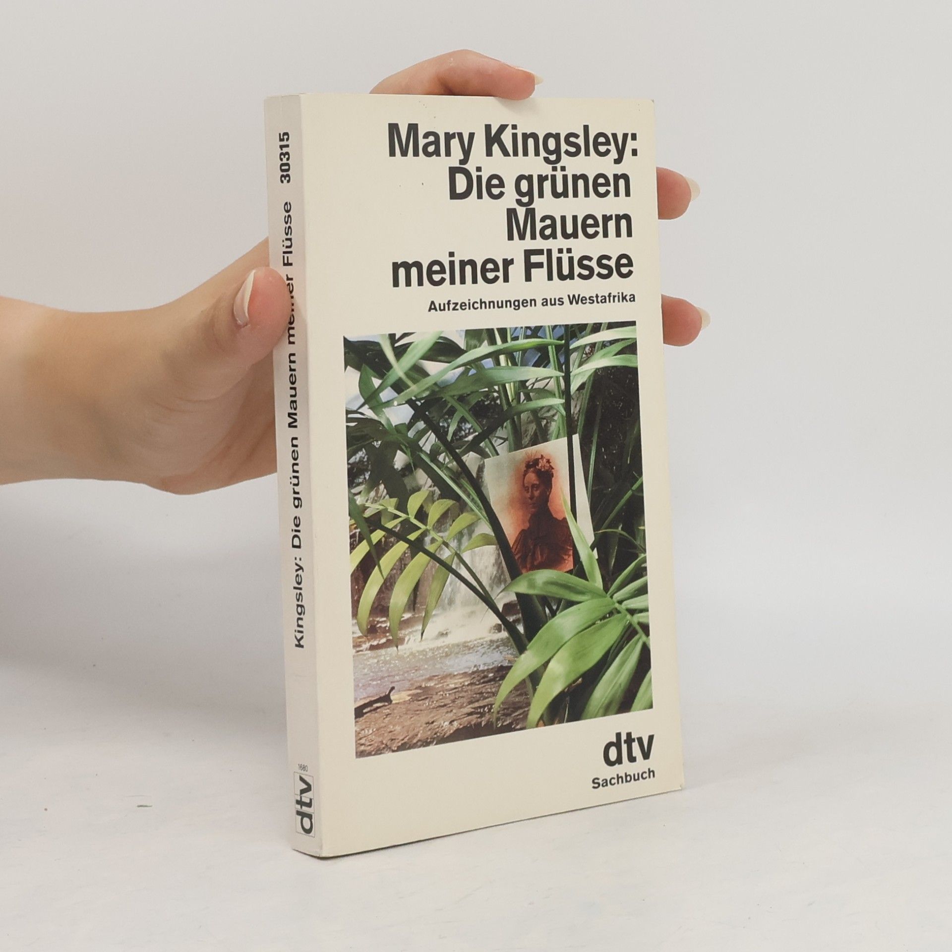 Die grünen Mauern meiner Flüsse