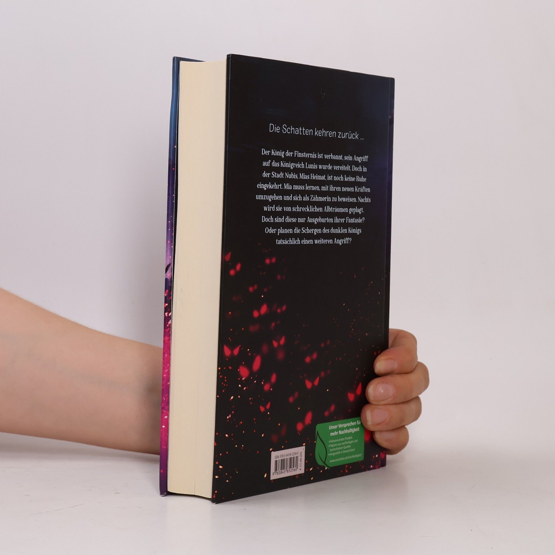 Janelle McCurdy Die Chroniken von Lunis - König der Finsternis (Die Chroniken von Lunis 2)