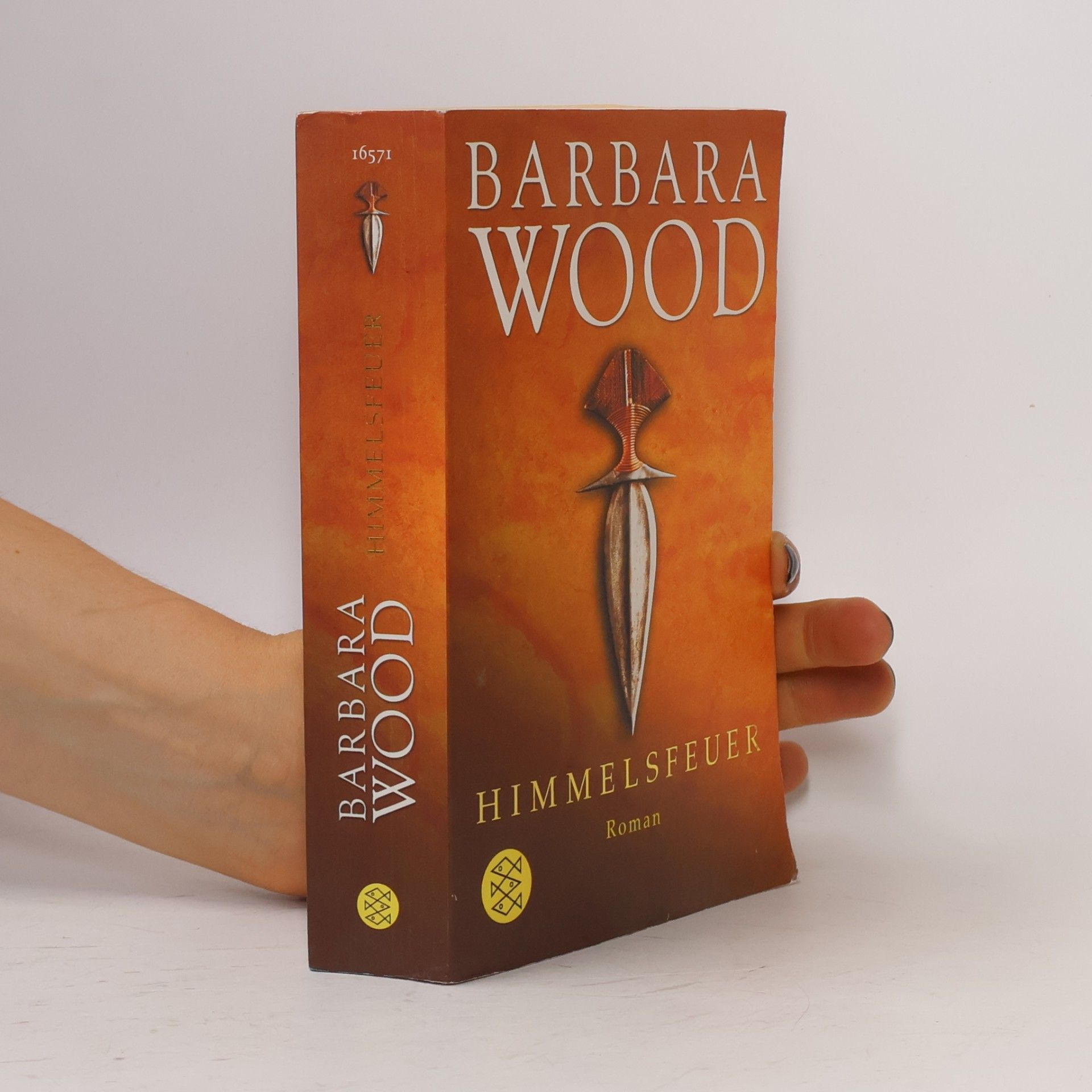 Barbara Wood Himmelsfeuer