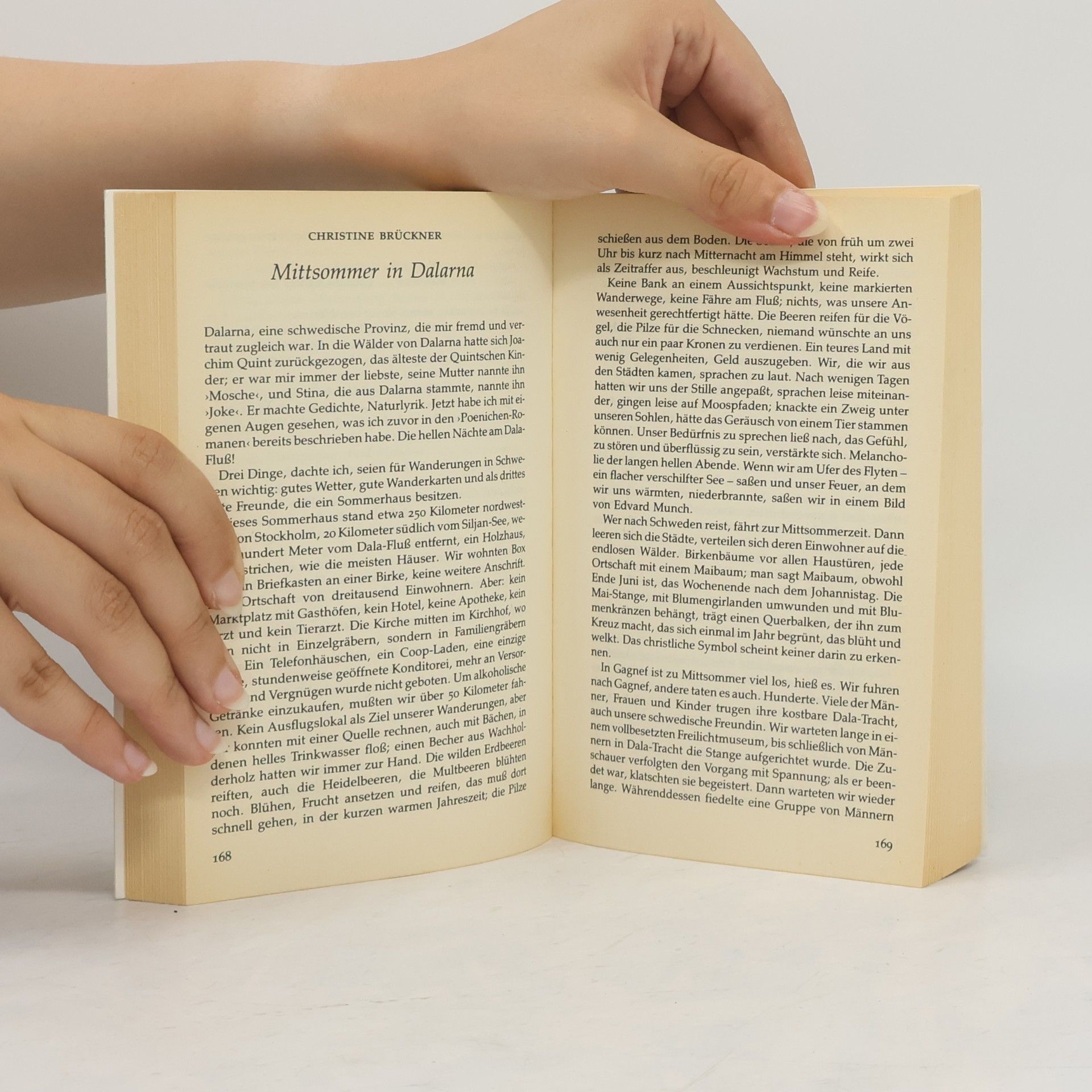 Manfred Kluge Das Sommer-Lesebuch
