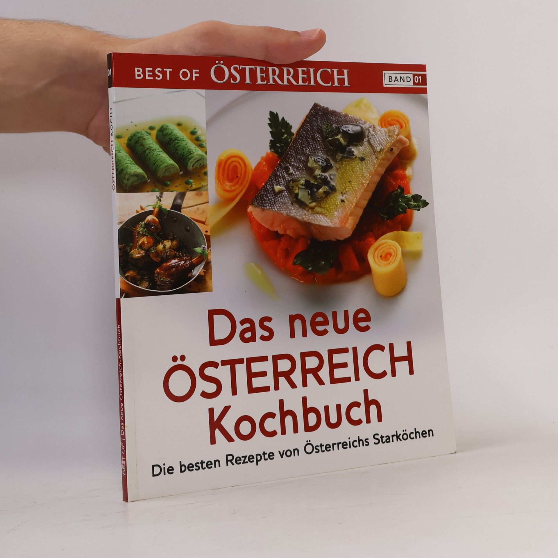 Auteurscollectief Das neue Österreich Kochbuch. Die besten Rezepte von Österreichs Starköchen