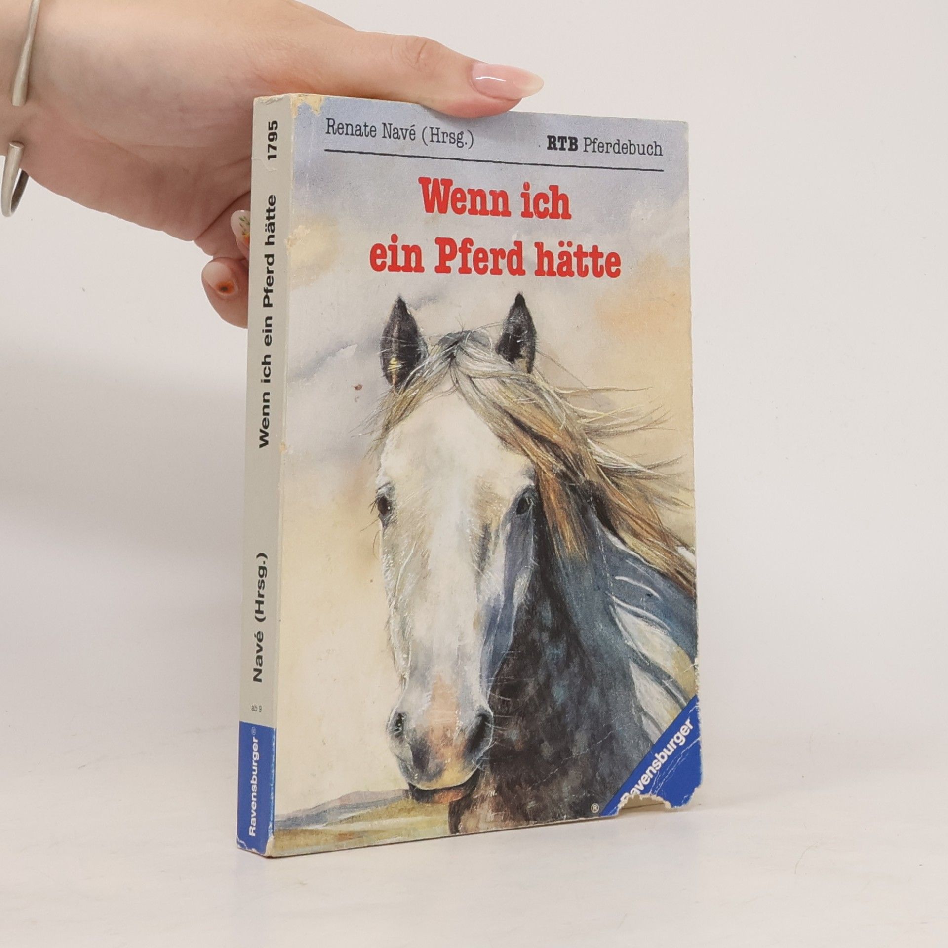 Autorenkollektiv Wenn ich ein Pferd hätte
