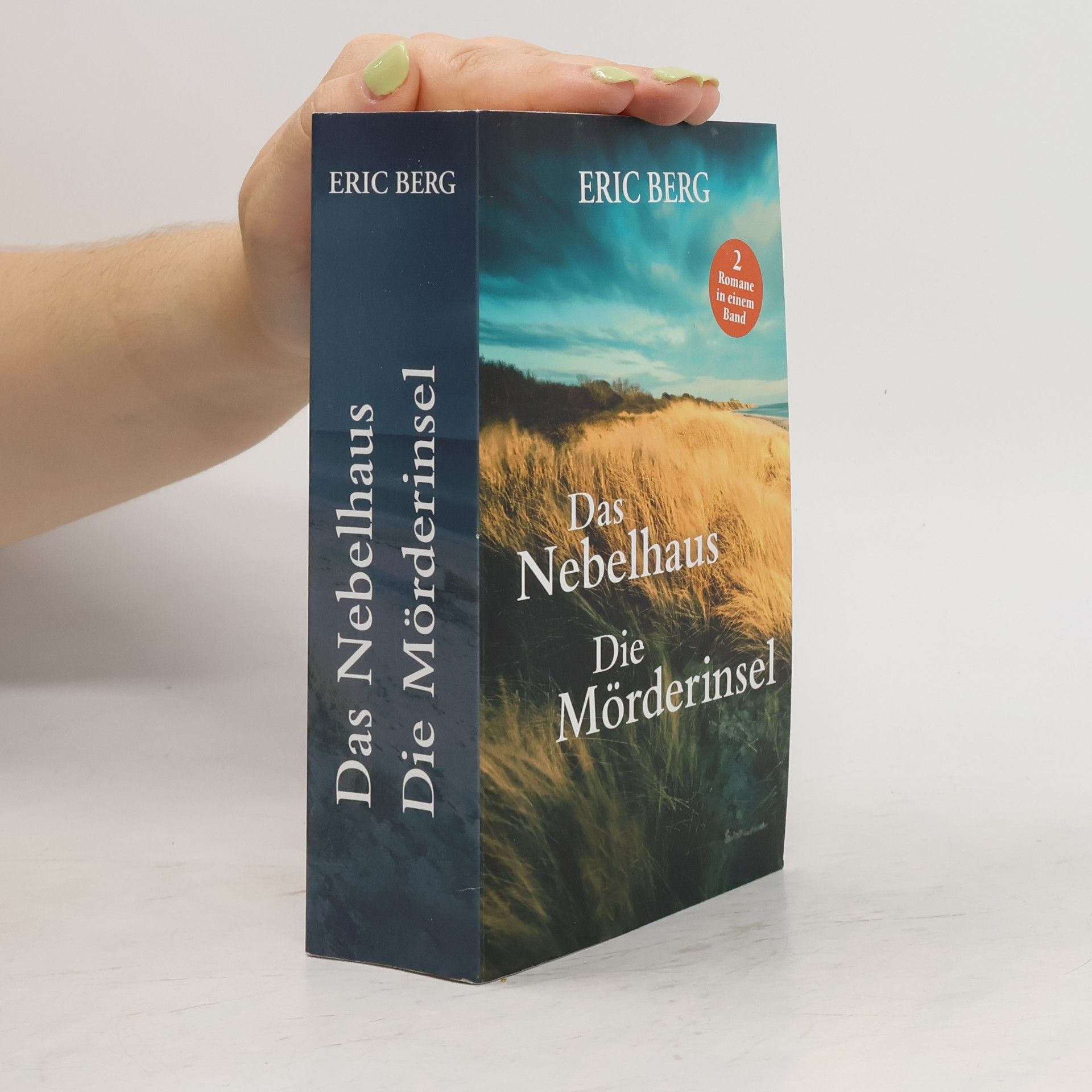 Eric Berg Das Nebelhaus. Die Mörderinsel