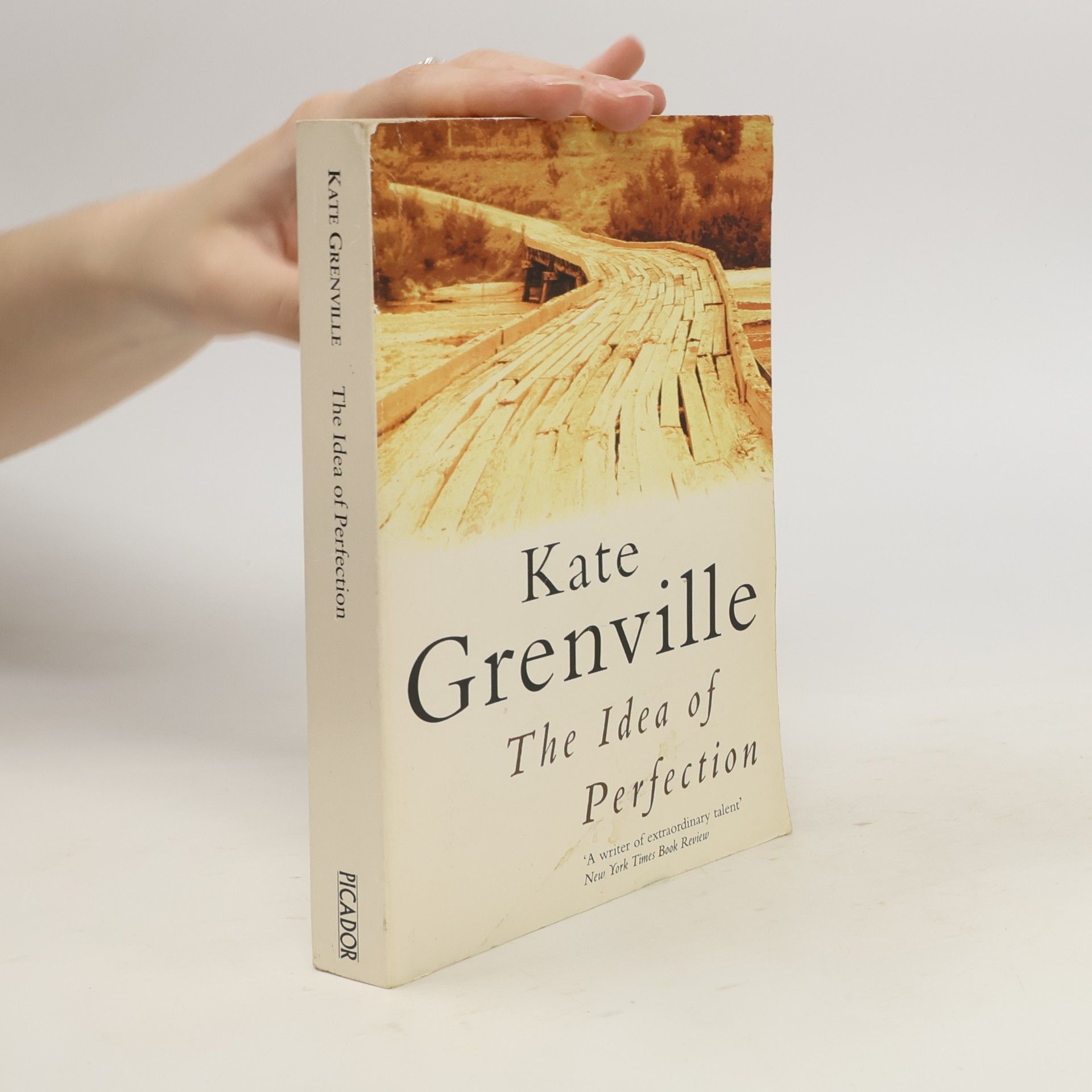 Kate Grenville The idea of perfection
