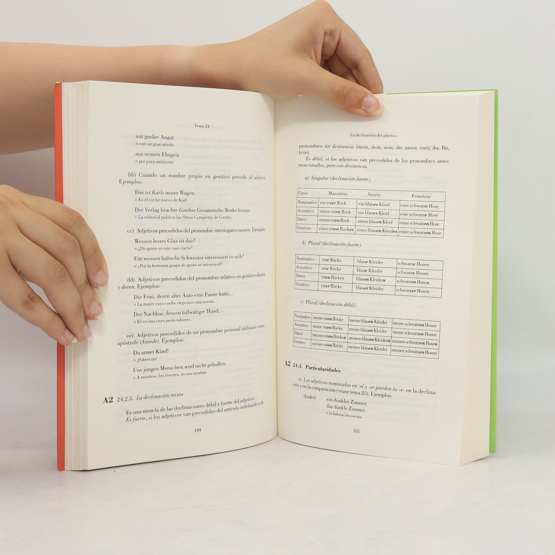 Brigitte Corcoll Programm Gramática