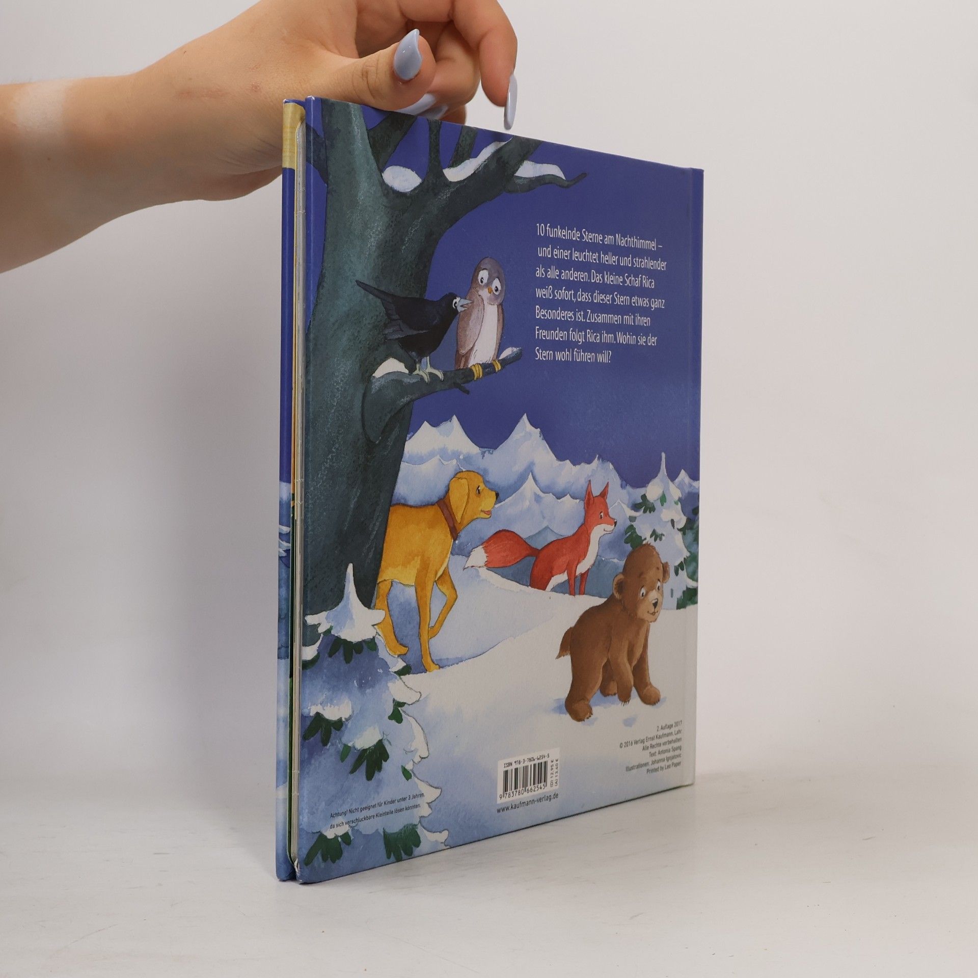 Antonia Spang 10 Weihnachtssterne für Rica
