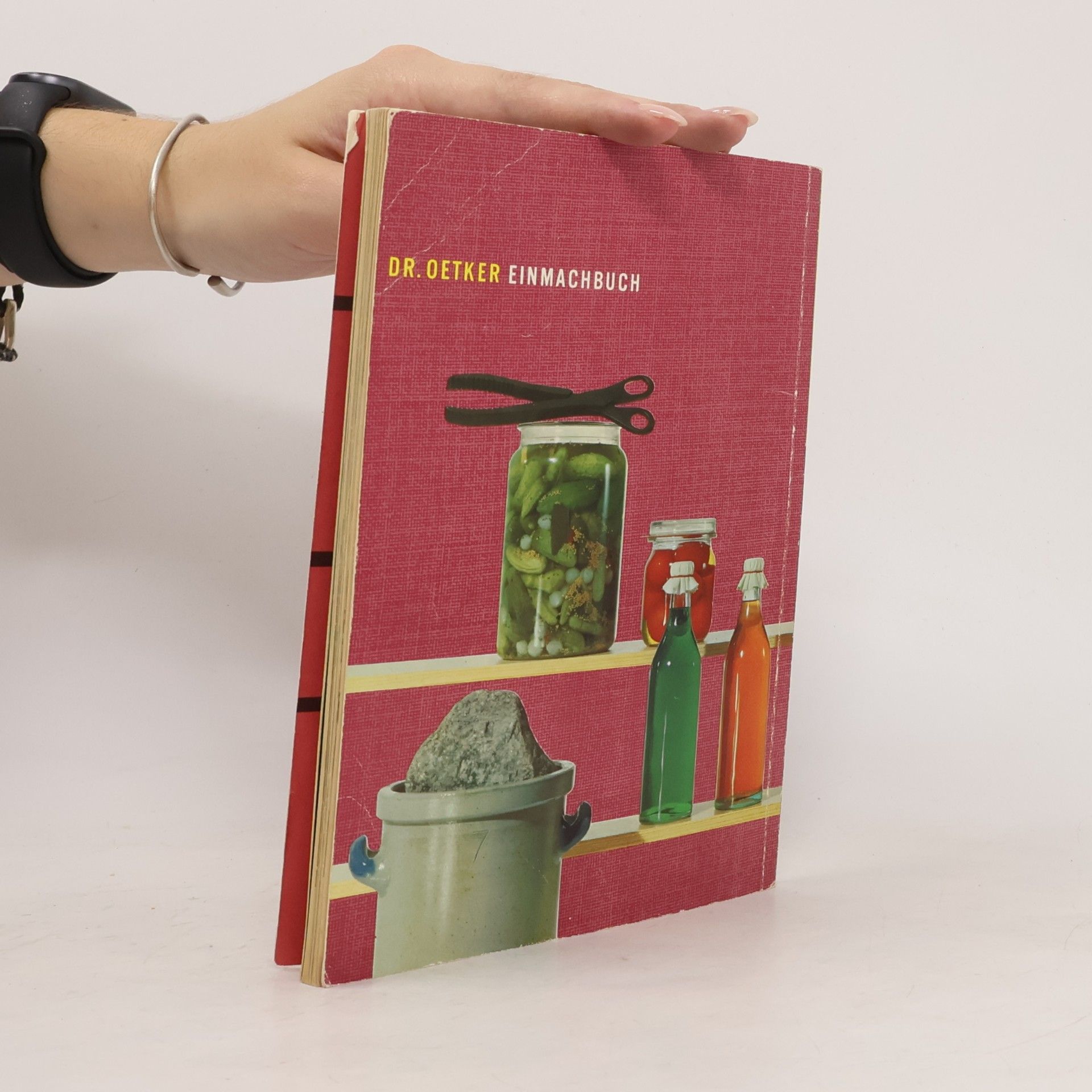 Autorenkollektiv Einmachbuch