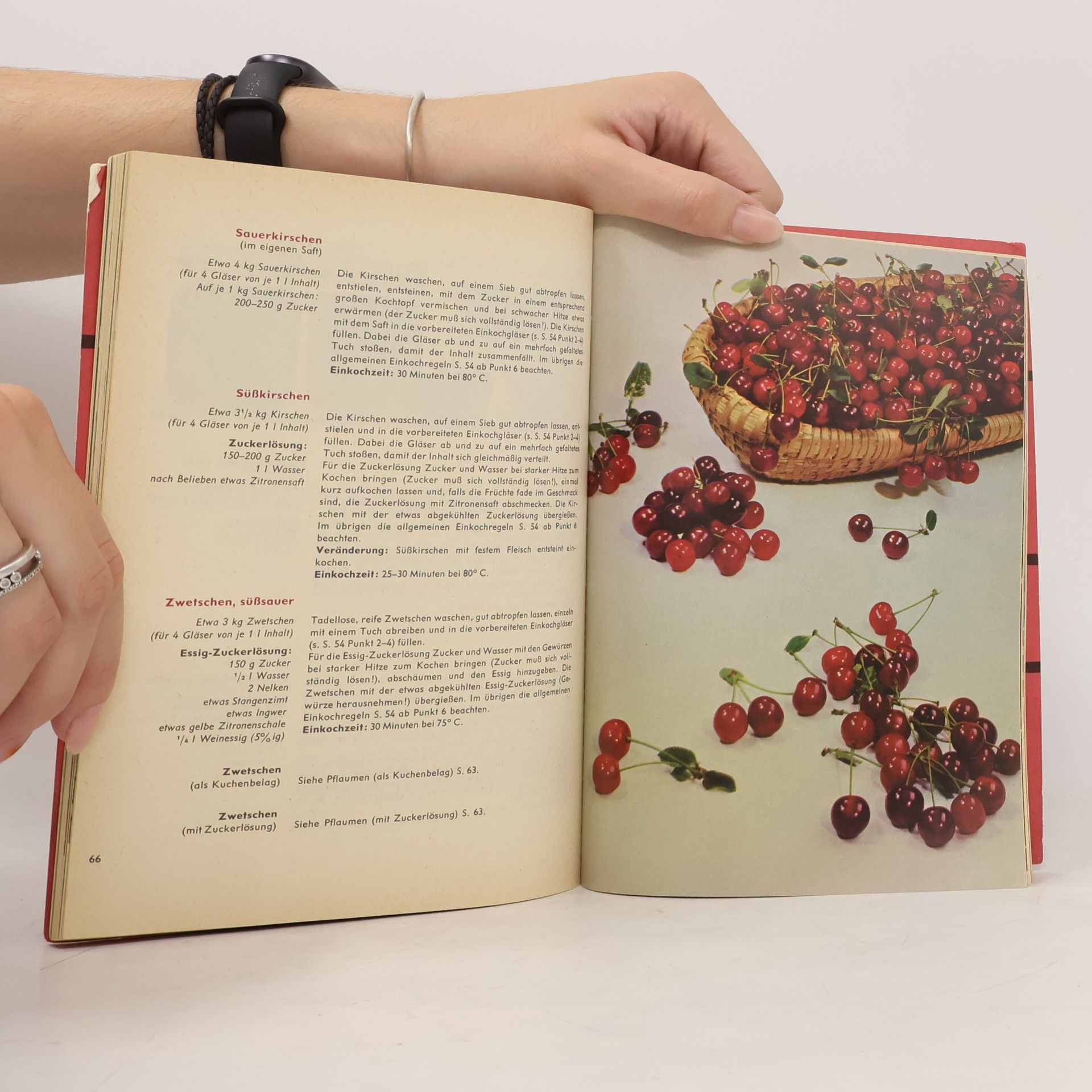Autorenkollektiv Einmachbuch
