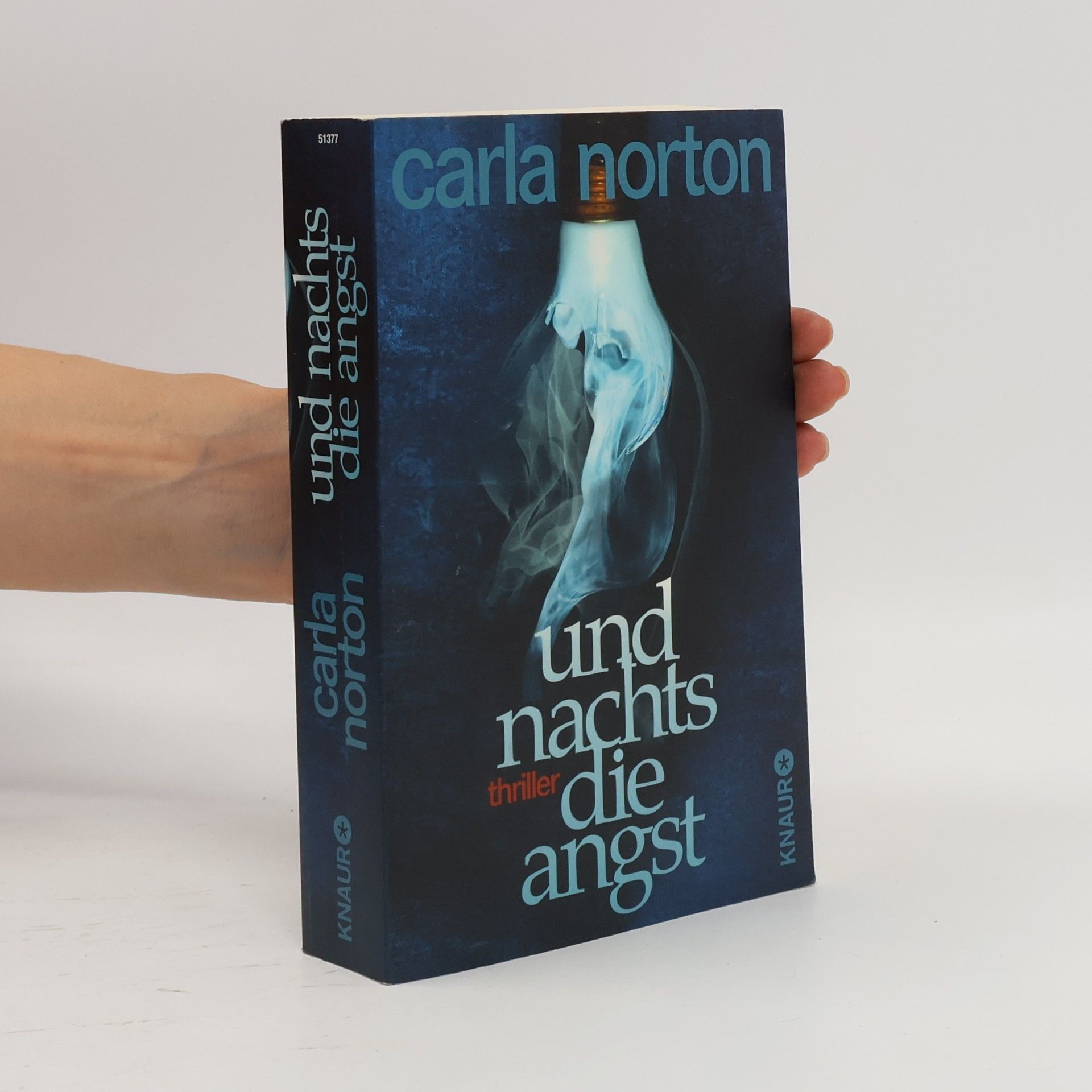 Carla Norton Und nachts die Angst