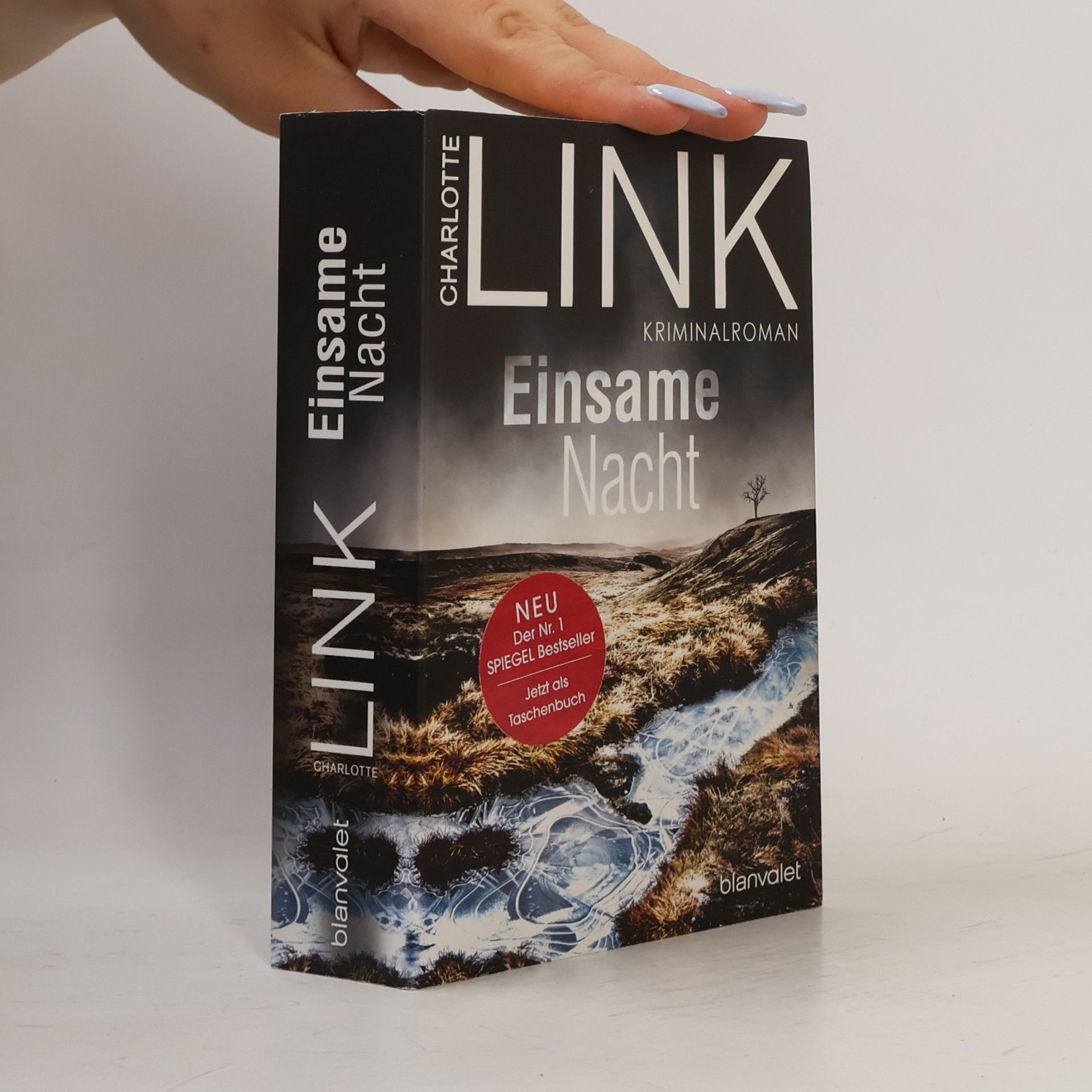 Charlotte Link Einsame Nacht