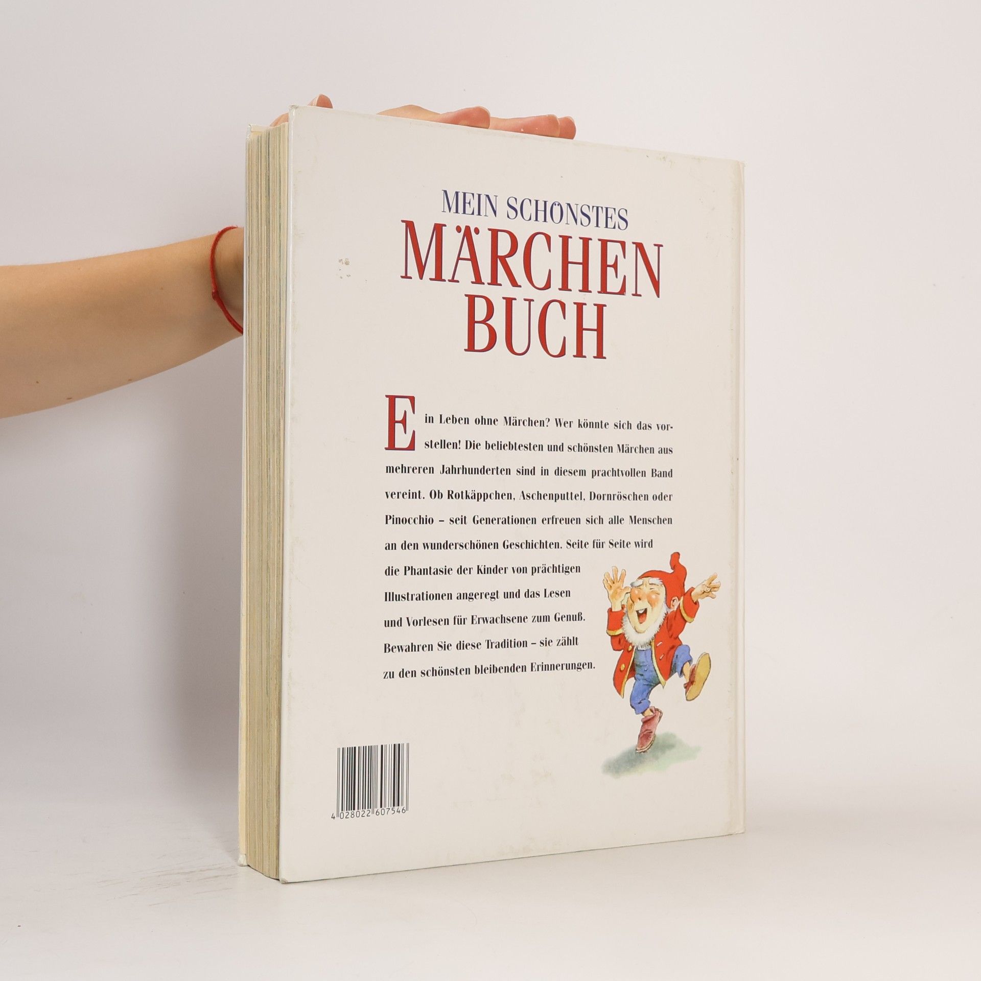 Kolektiv autorů Mein schönstes Märchen Buch