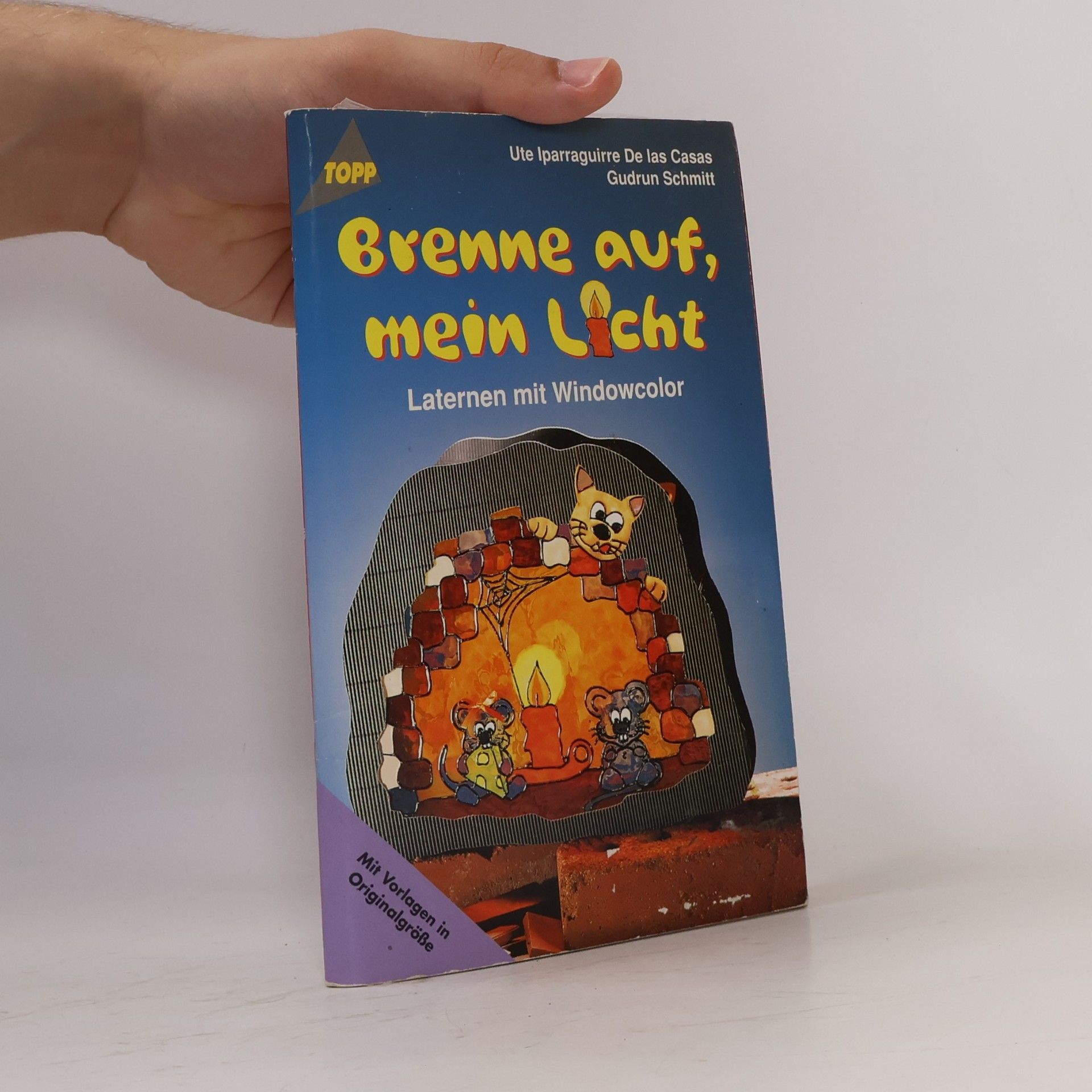 Kolektív autorov Brenne auf, mein Licht