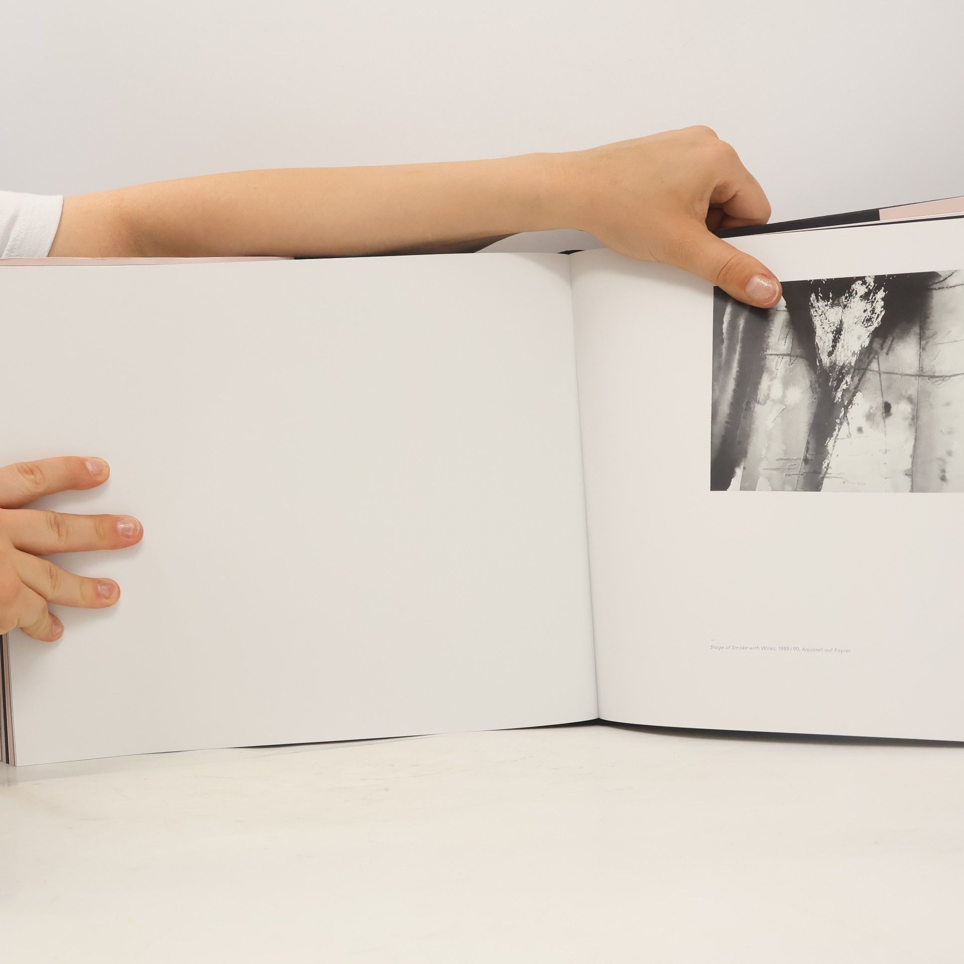 Michae l. Borremans Paintings