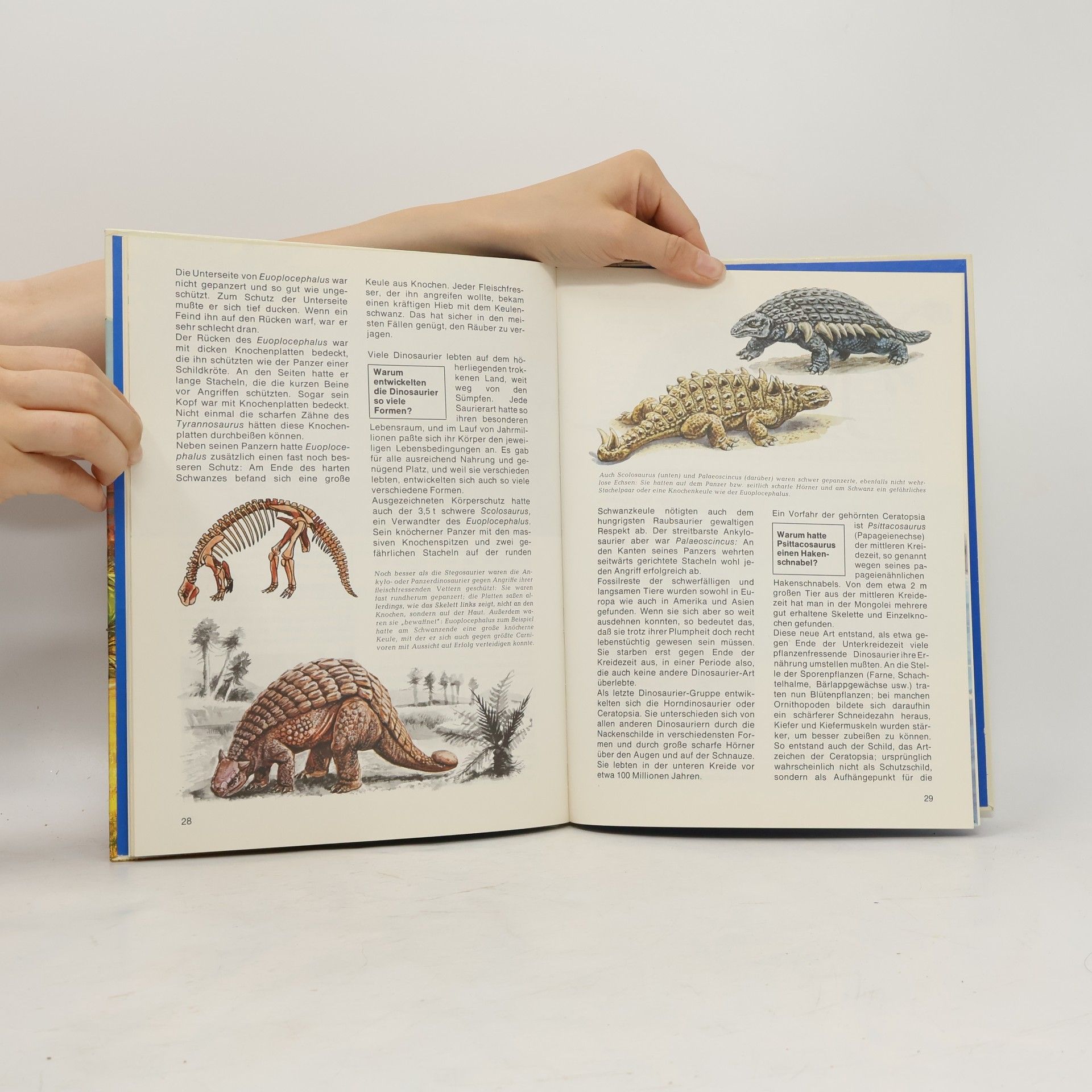 Joachim Oppermann Dinosaurier