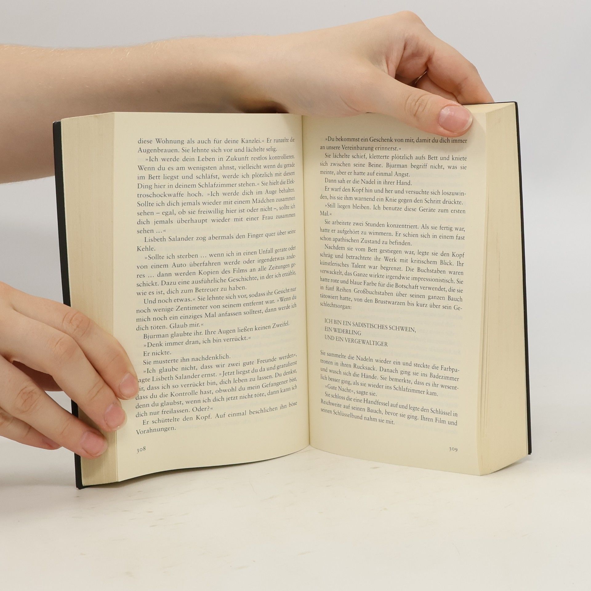 Stieg Larsson Verblendung