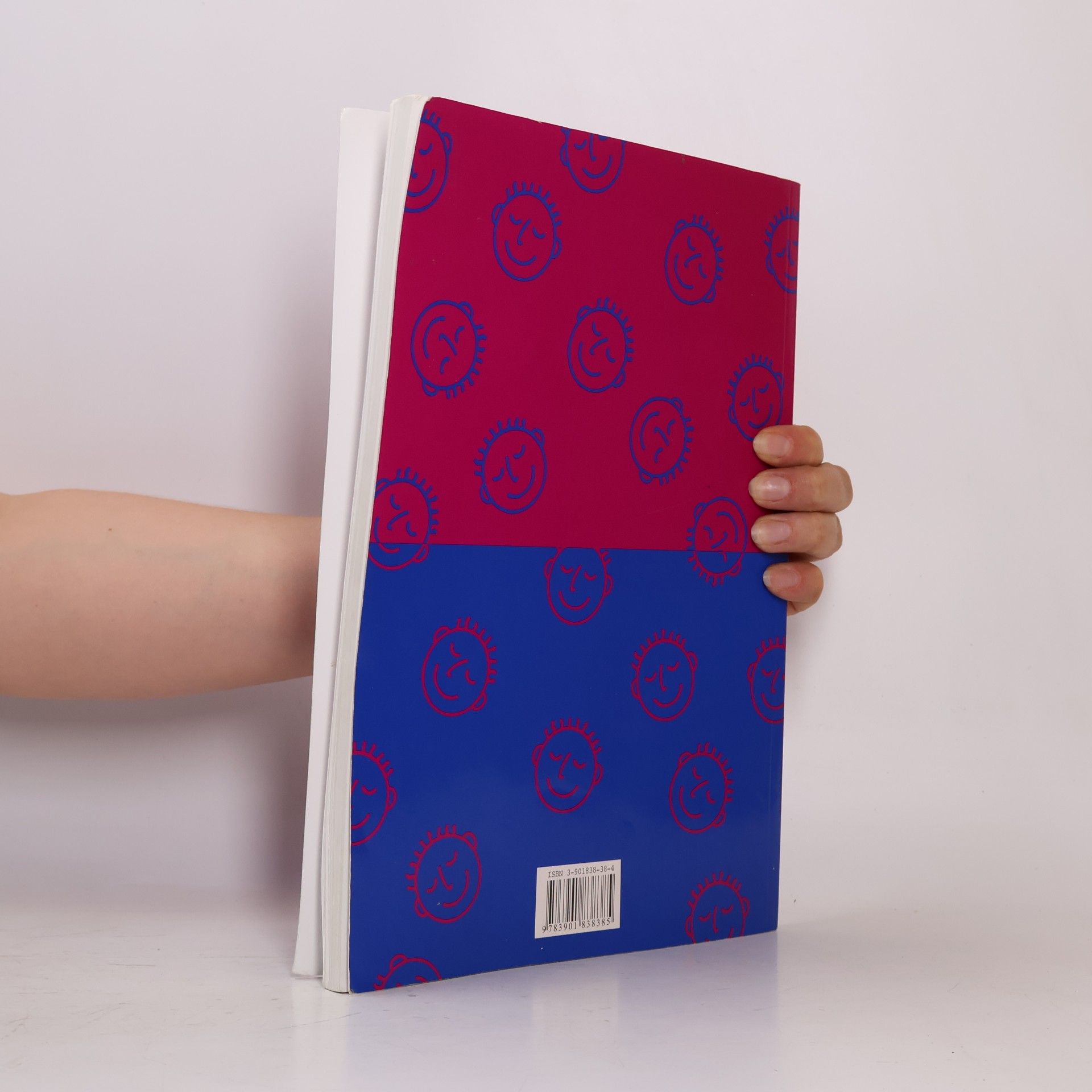Claudia Lichtenwagner Smile : Englisch-Übungsbuch für IV. Klasse AHS/HS