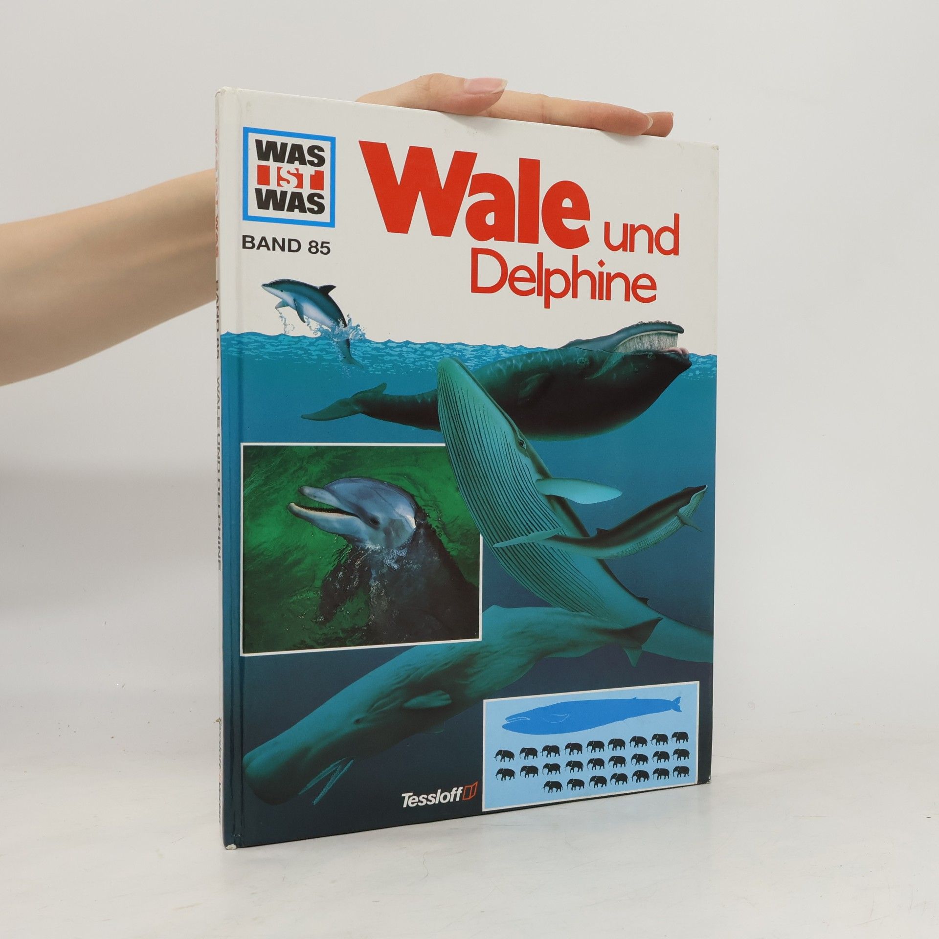 Petra Deimer-Schütte Wale und Delphine