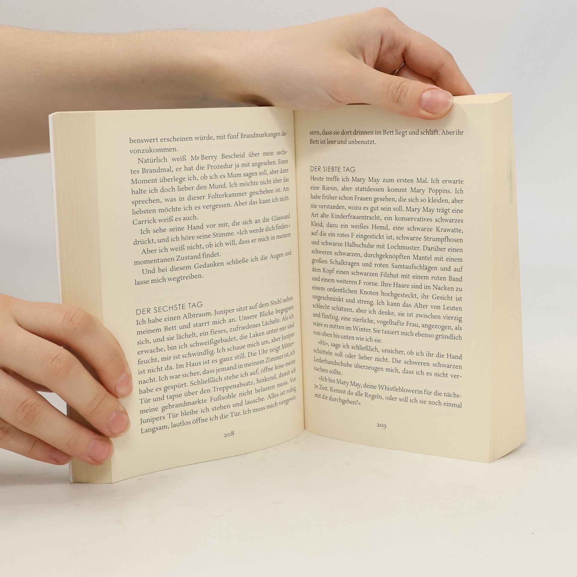Cecelia Ahern Flawed - wie perfekt willst du sein?