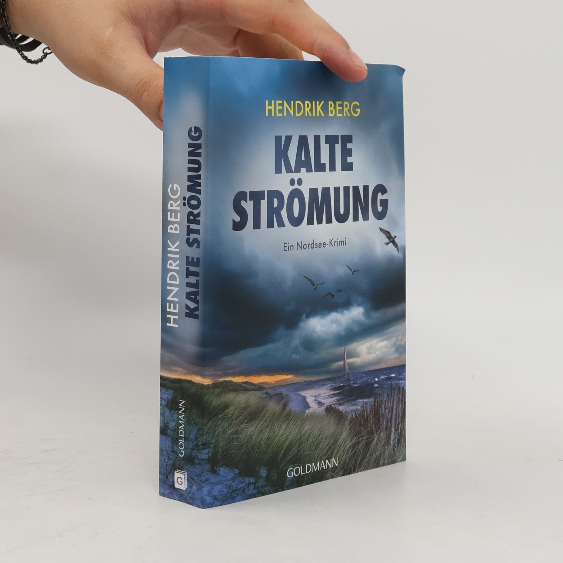 Hendrik Berg Kalte Strömung