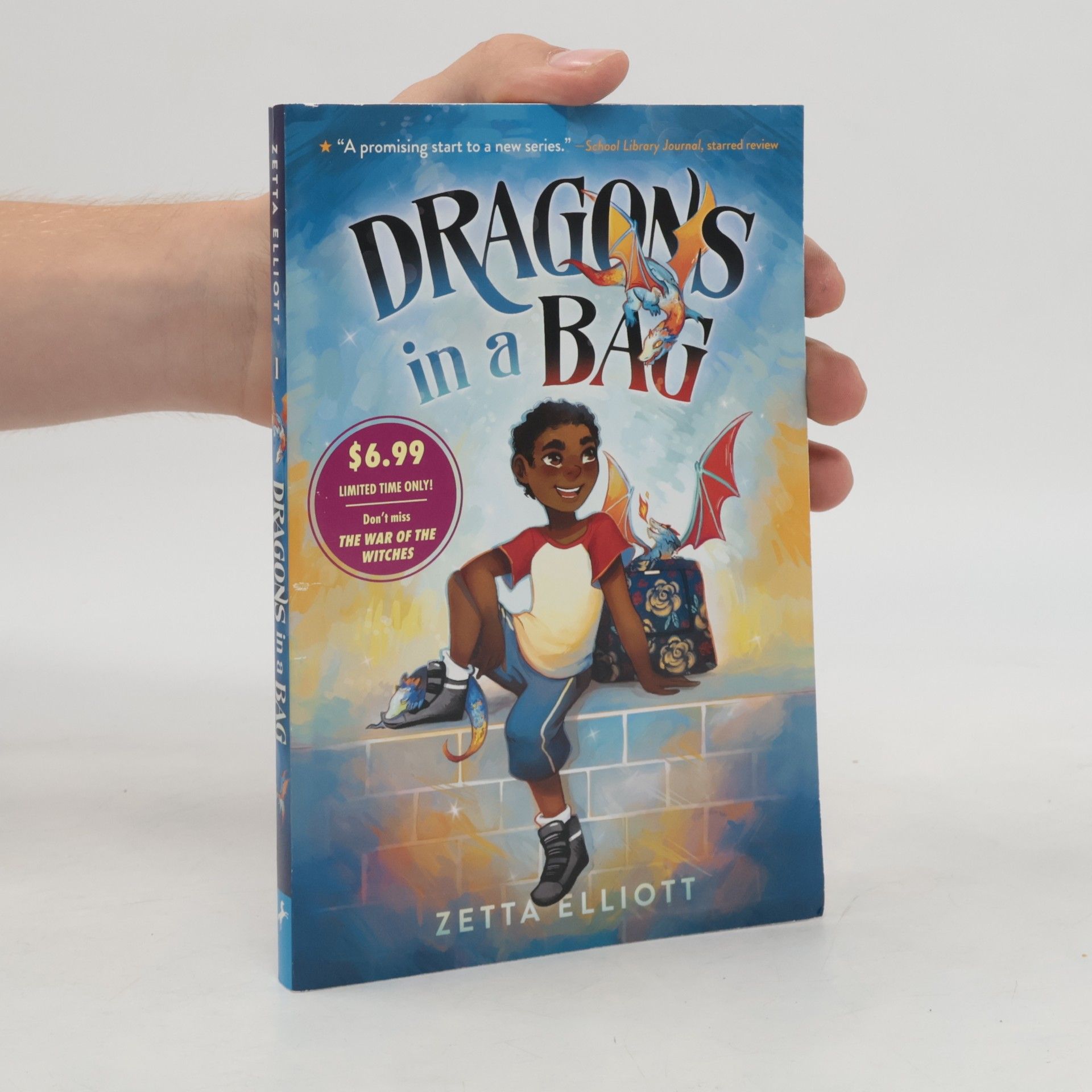 Zetta Elliott Dragons in a Bag