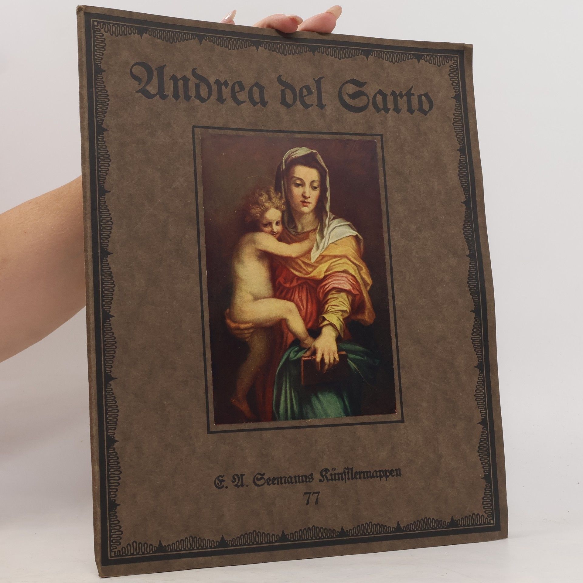Autorenkollektiv Andrea del Sarto
