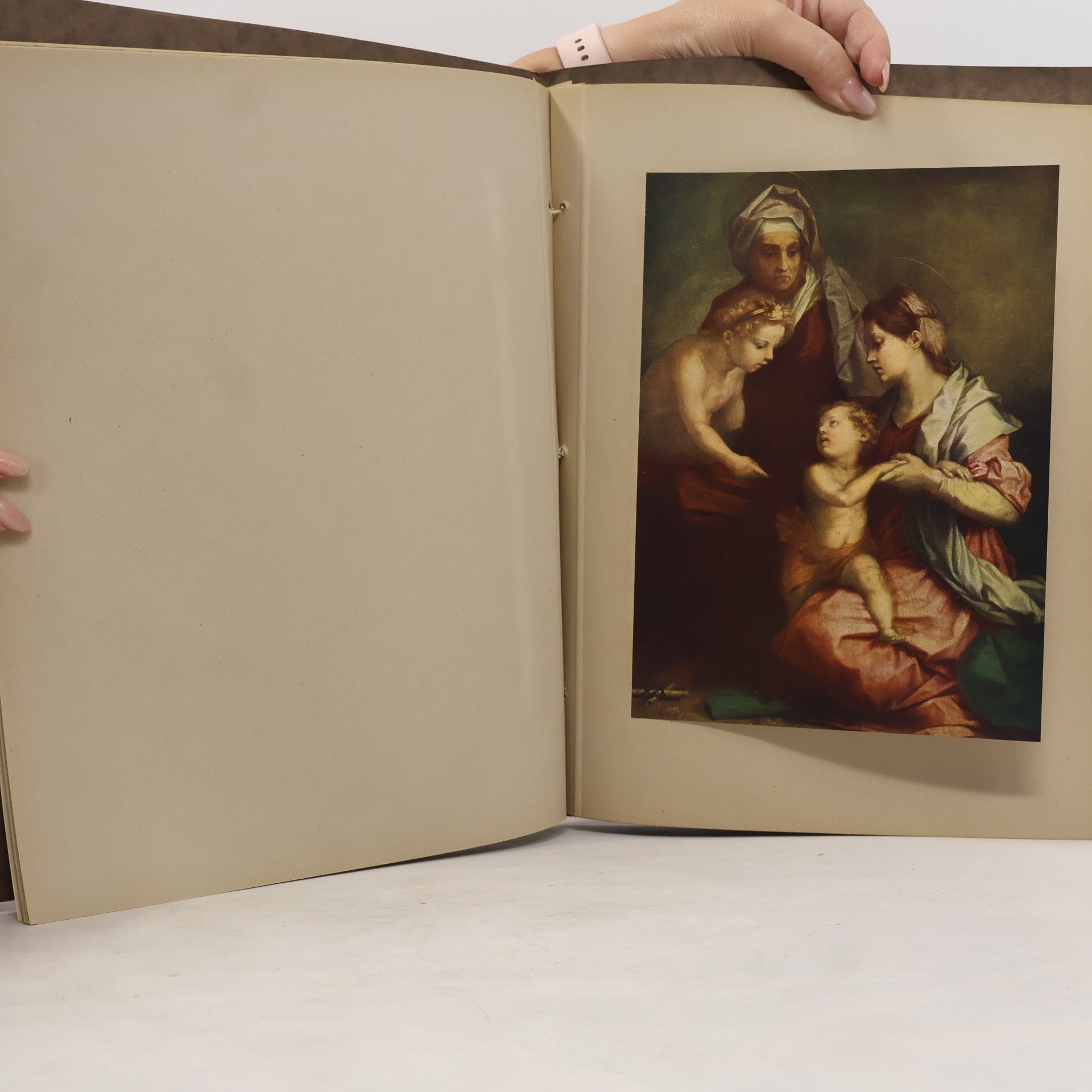 Autorenkollektiv Andrea del Sarto