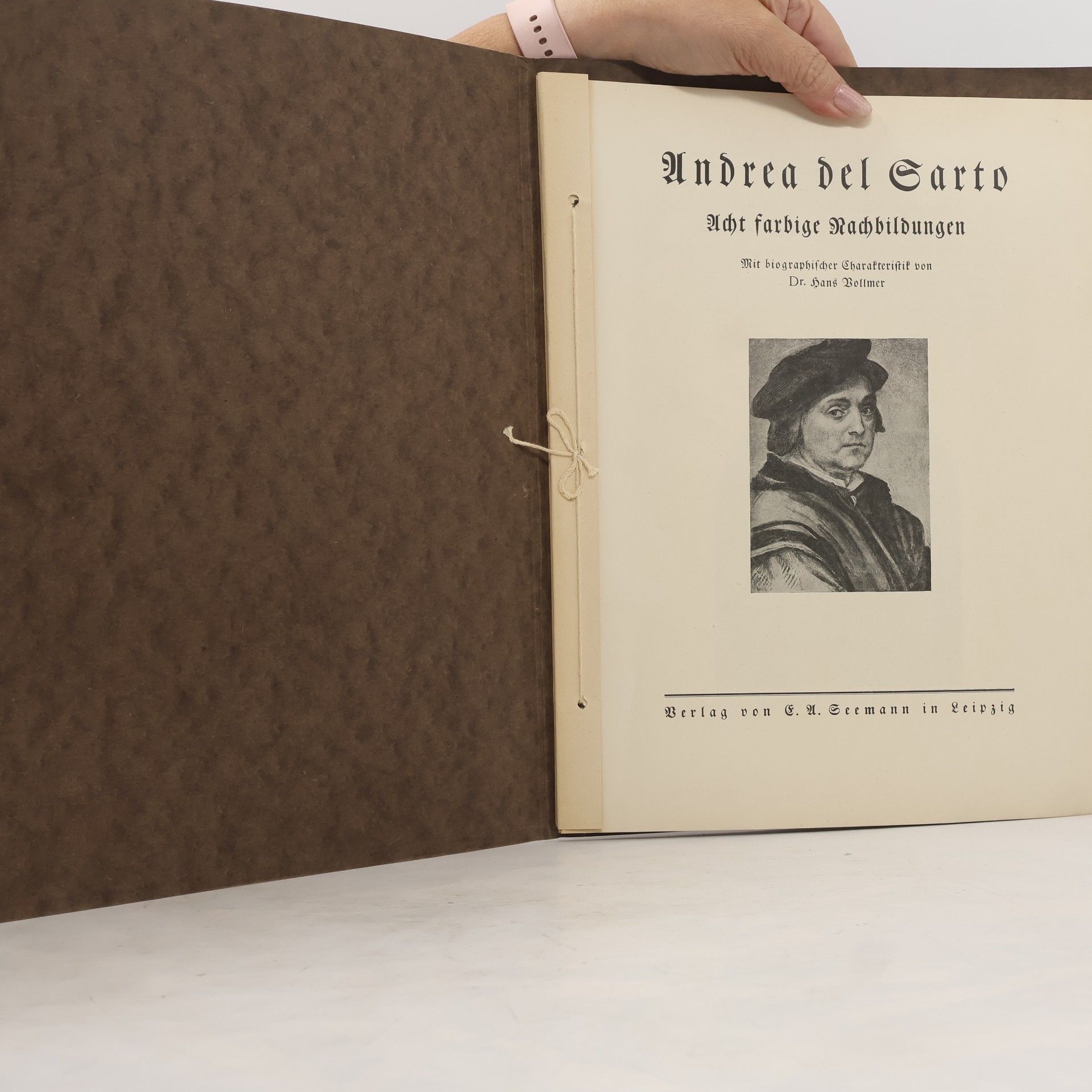 Autorenkollektiv Andrea del Sarto