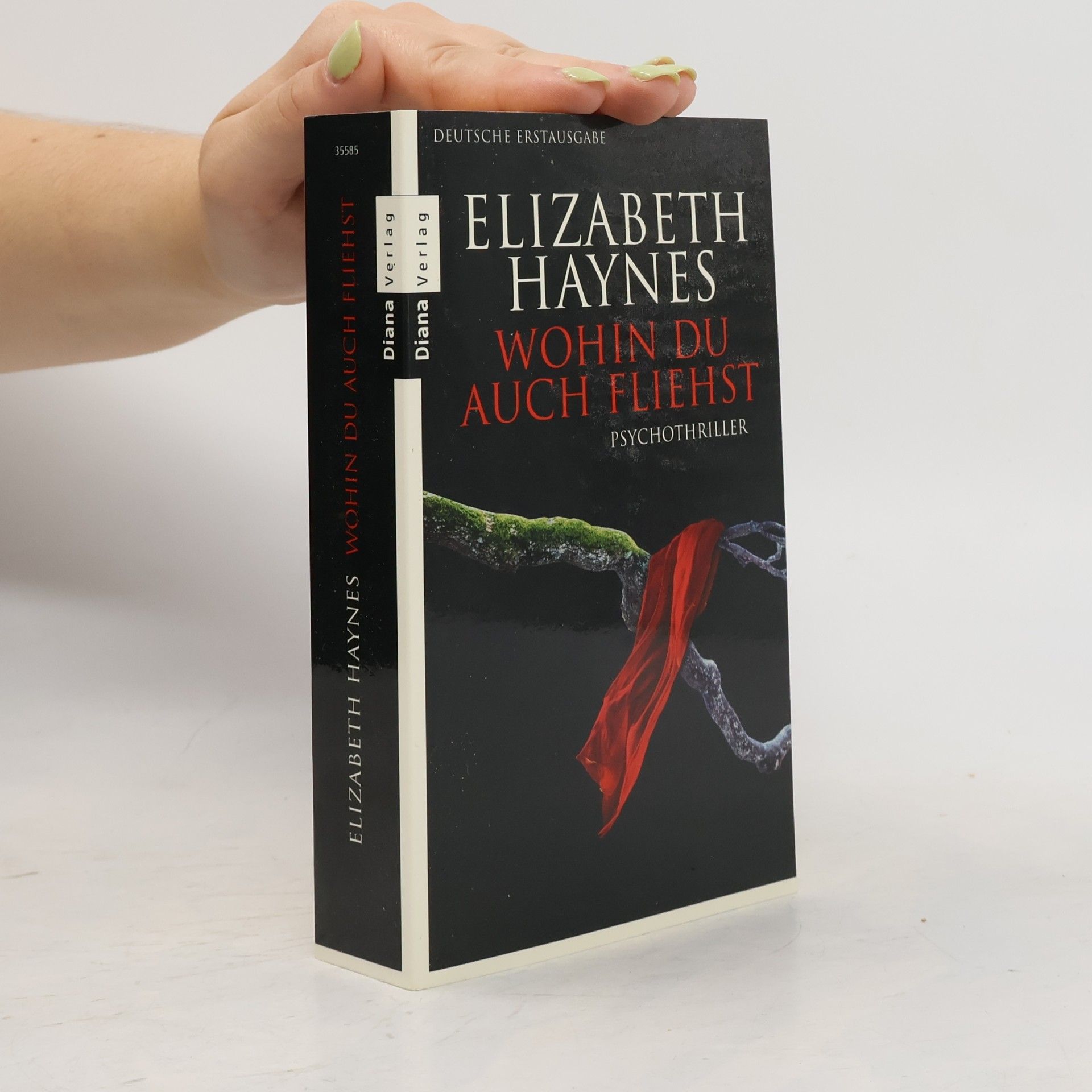 Claudia Vilshöfer Schrei in der Dunkelheit. Psychothriller