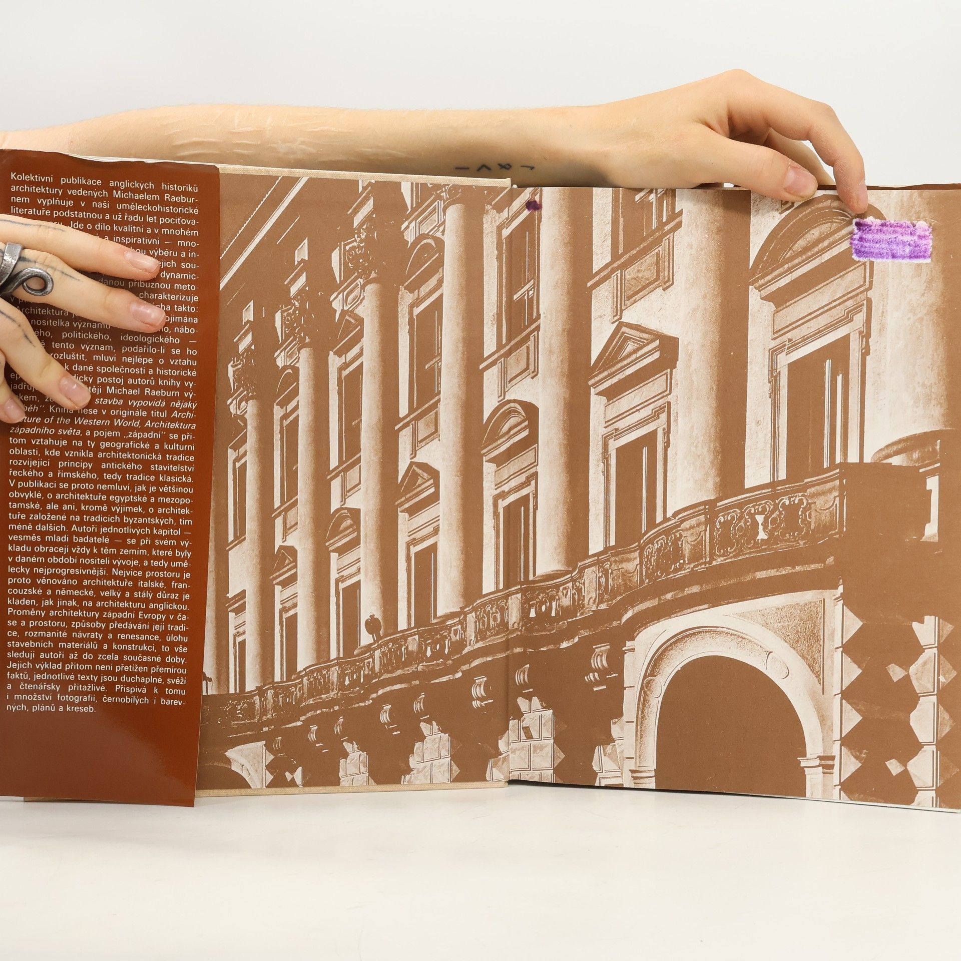 Auteurscollectief Dějiny architektury