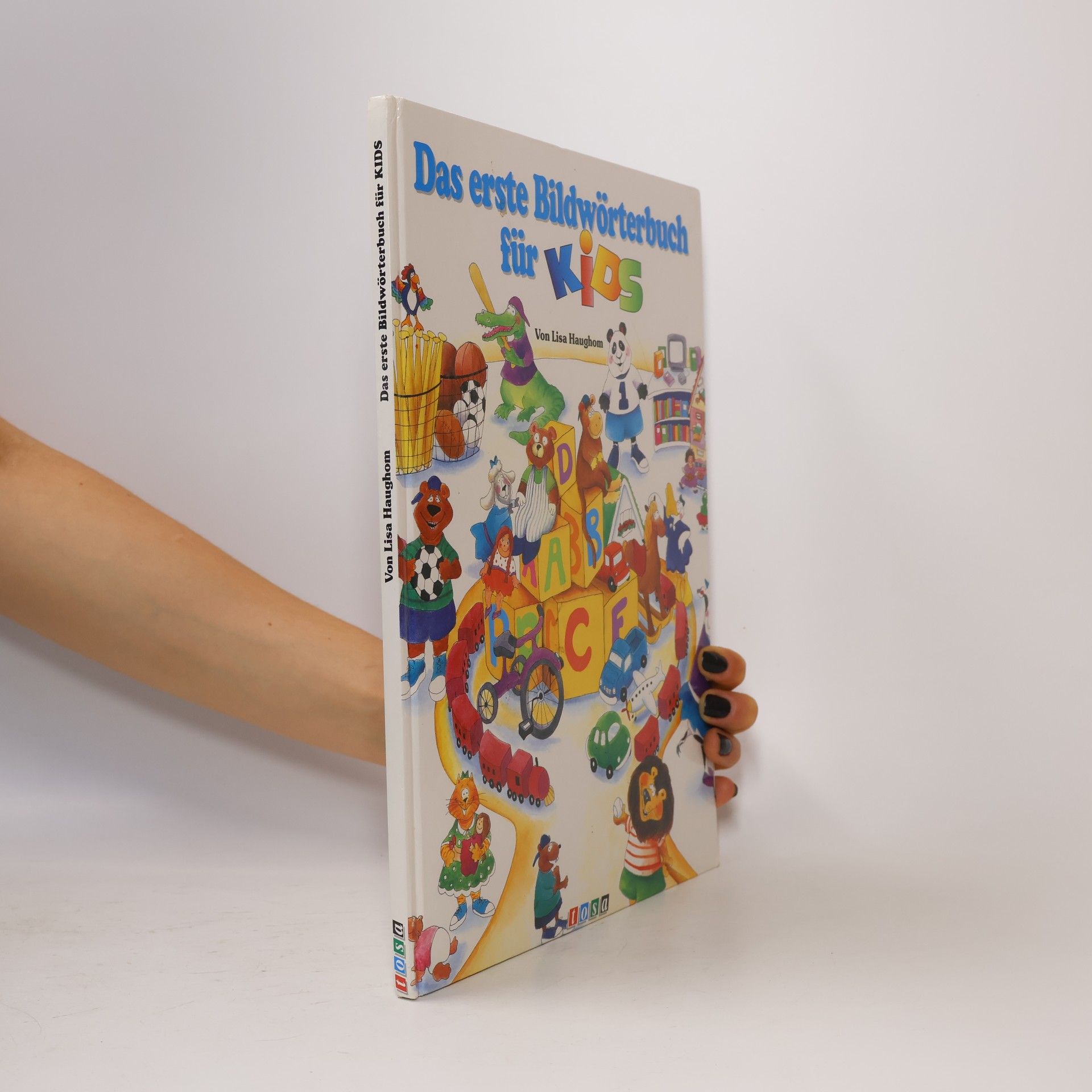 Lisa Haughom Das erste Bildwörterbuch für Kids