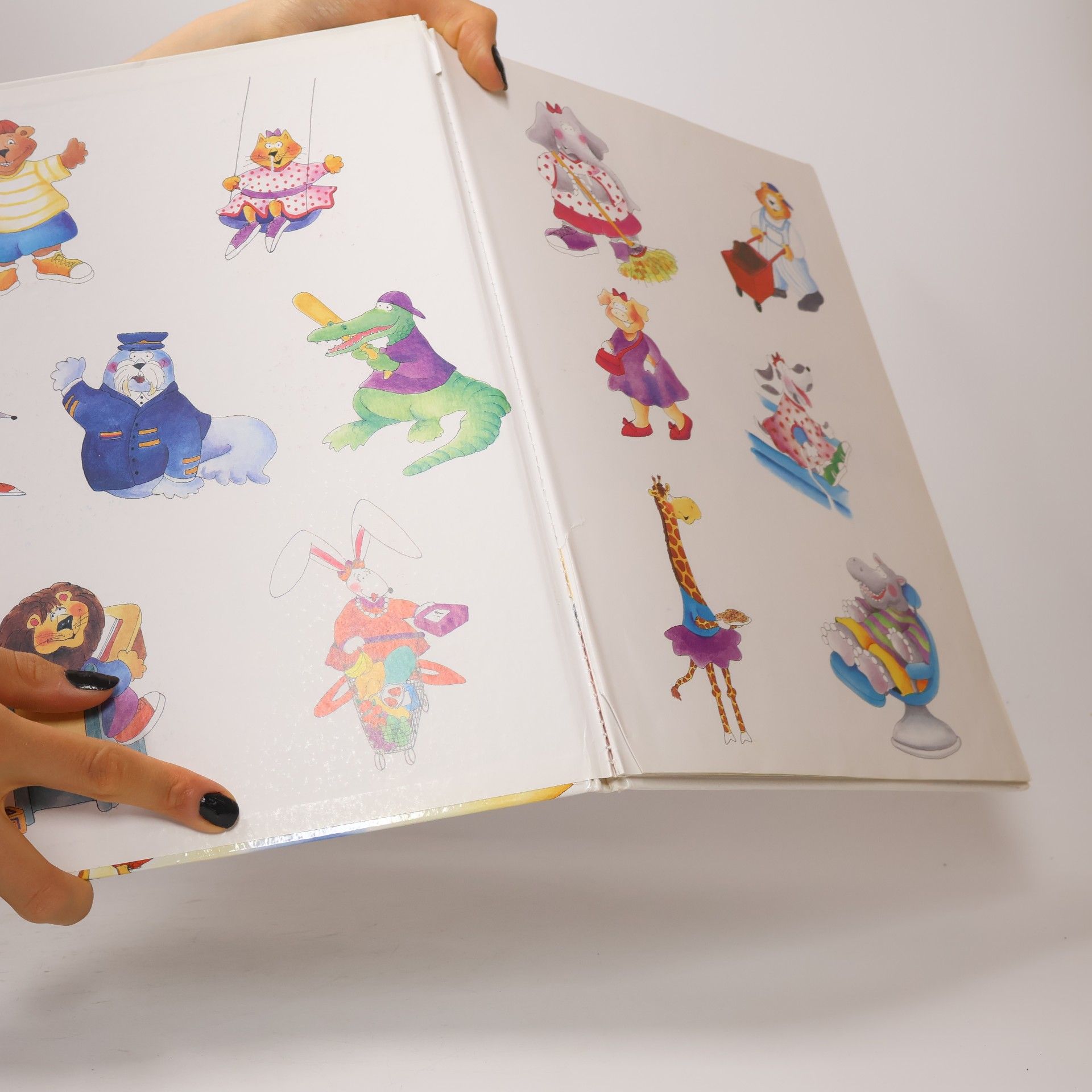 Lisa Haughom Das erste Bildwörterbuch für Kids