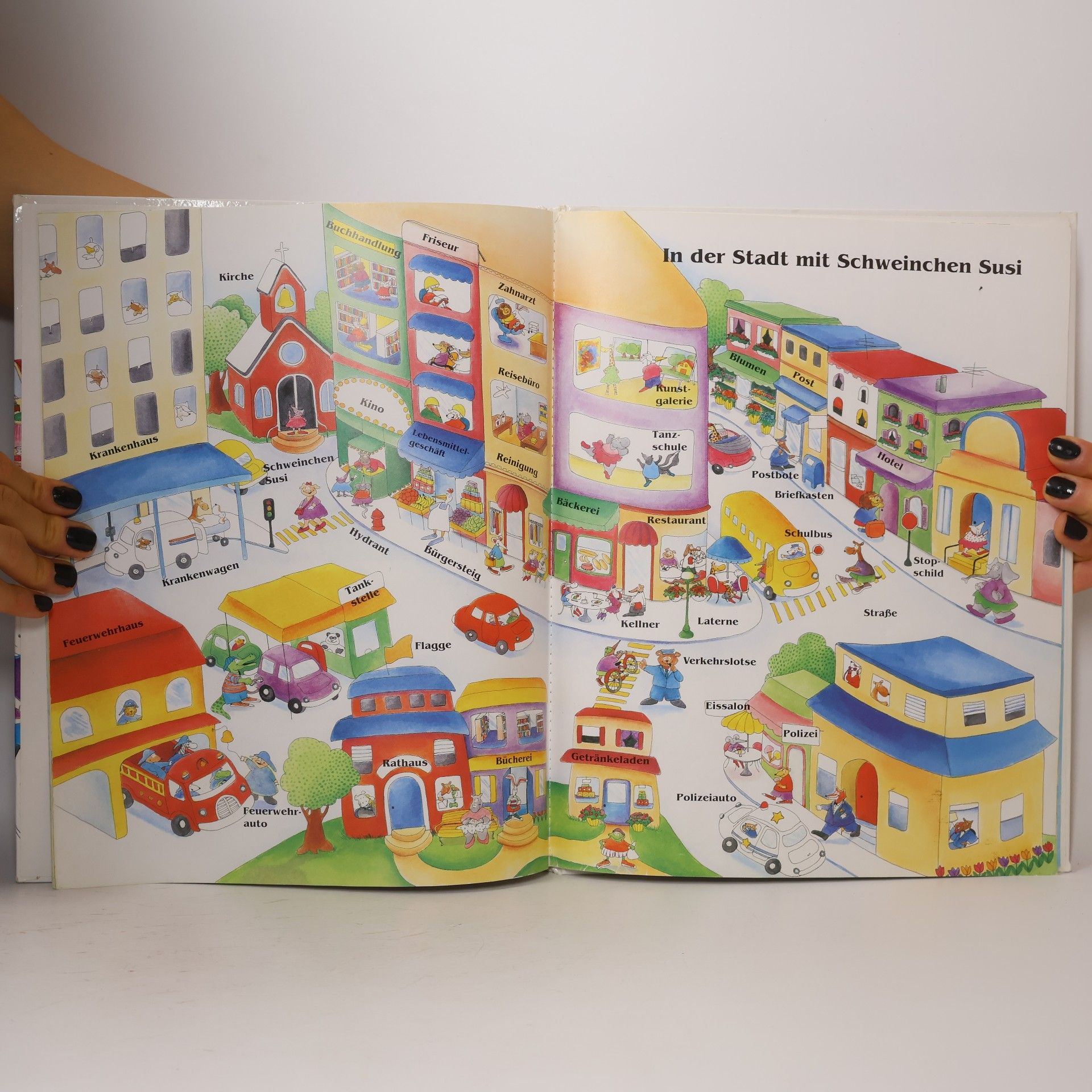 Lisa Haughom Das erste Bildwörterbuch für Kids