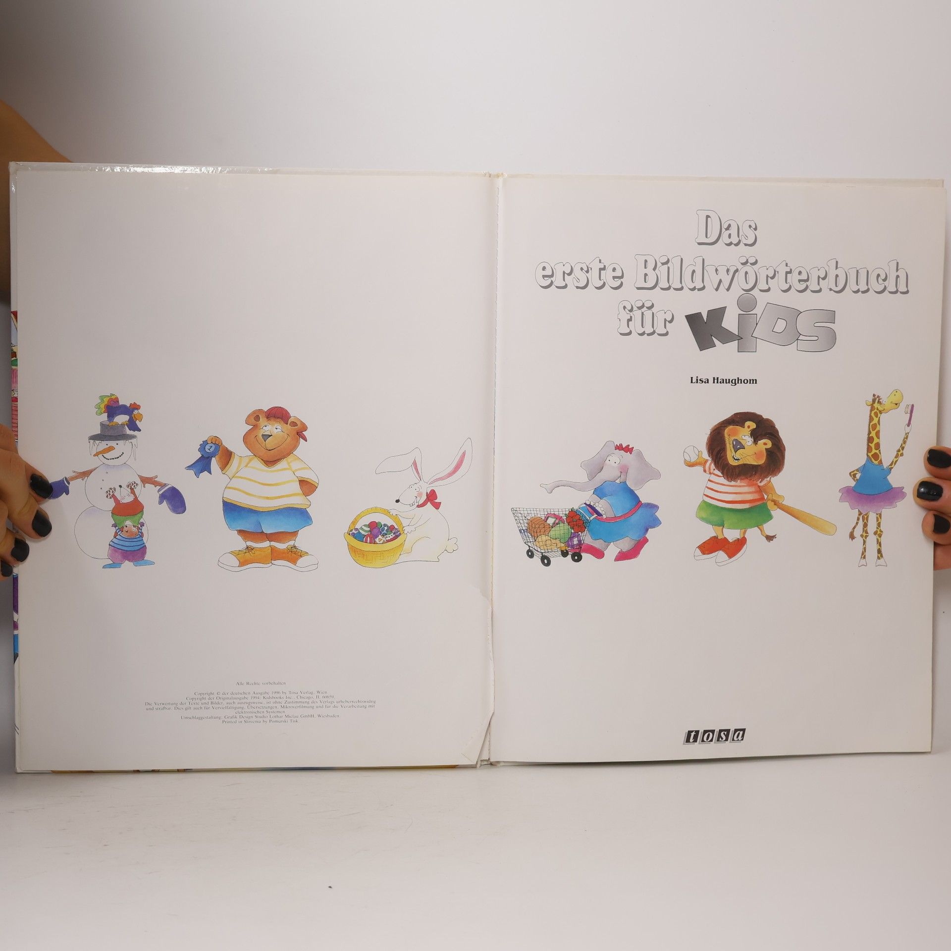 Lisa Haughom Das erste Bildwörterbuch für Kids