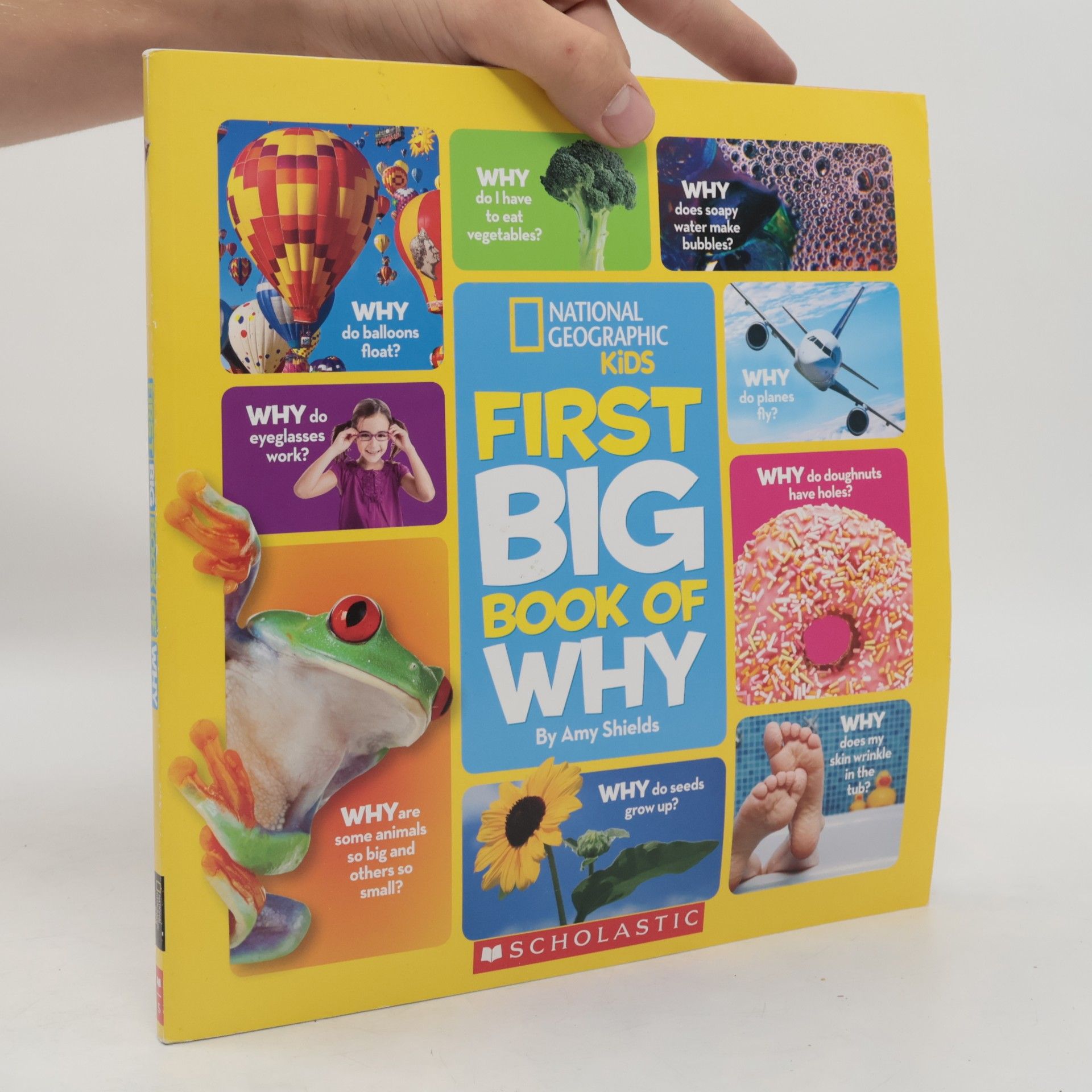 Amy Shields First Big Book of Why