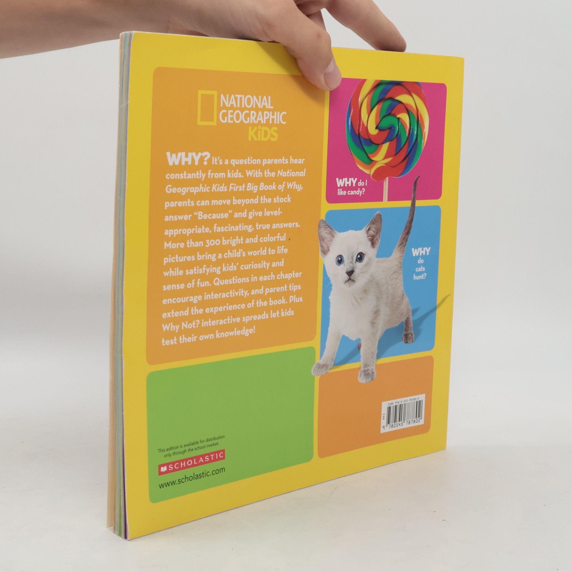 Amy Shields First Big Book of Why