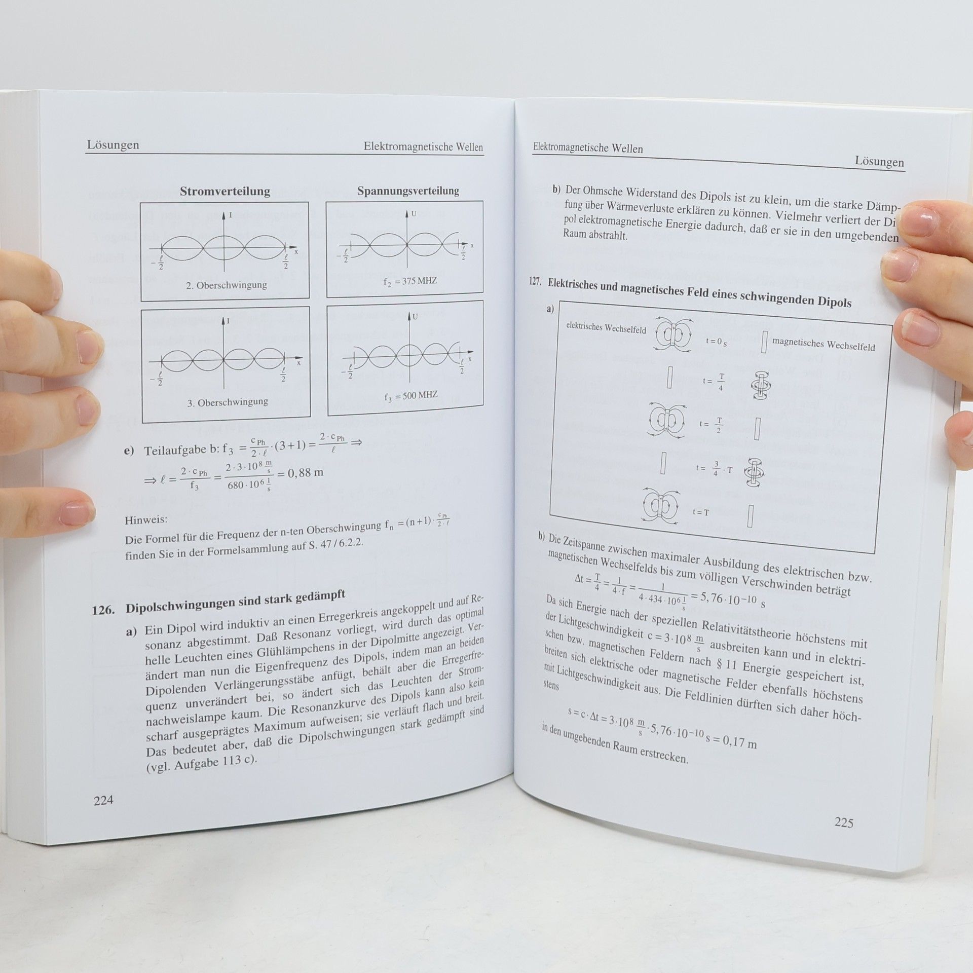 Horst Lautenschlager Abitur-Training. Physik 1