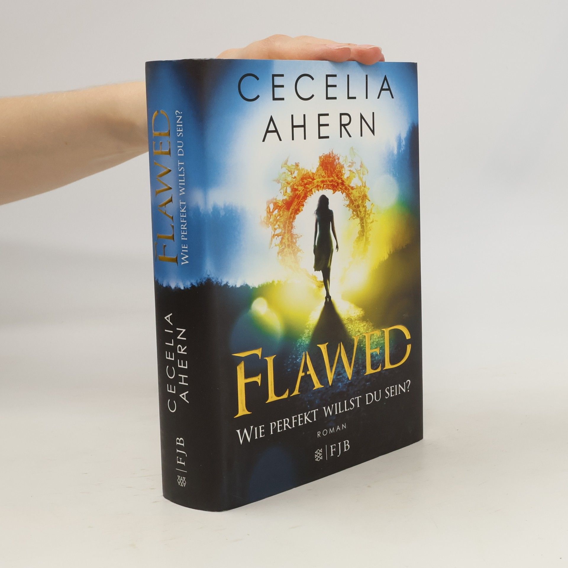 Cecelia Ahern Flawed - wie perfekt willst du sein?