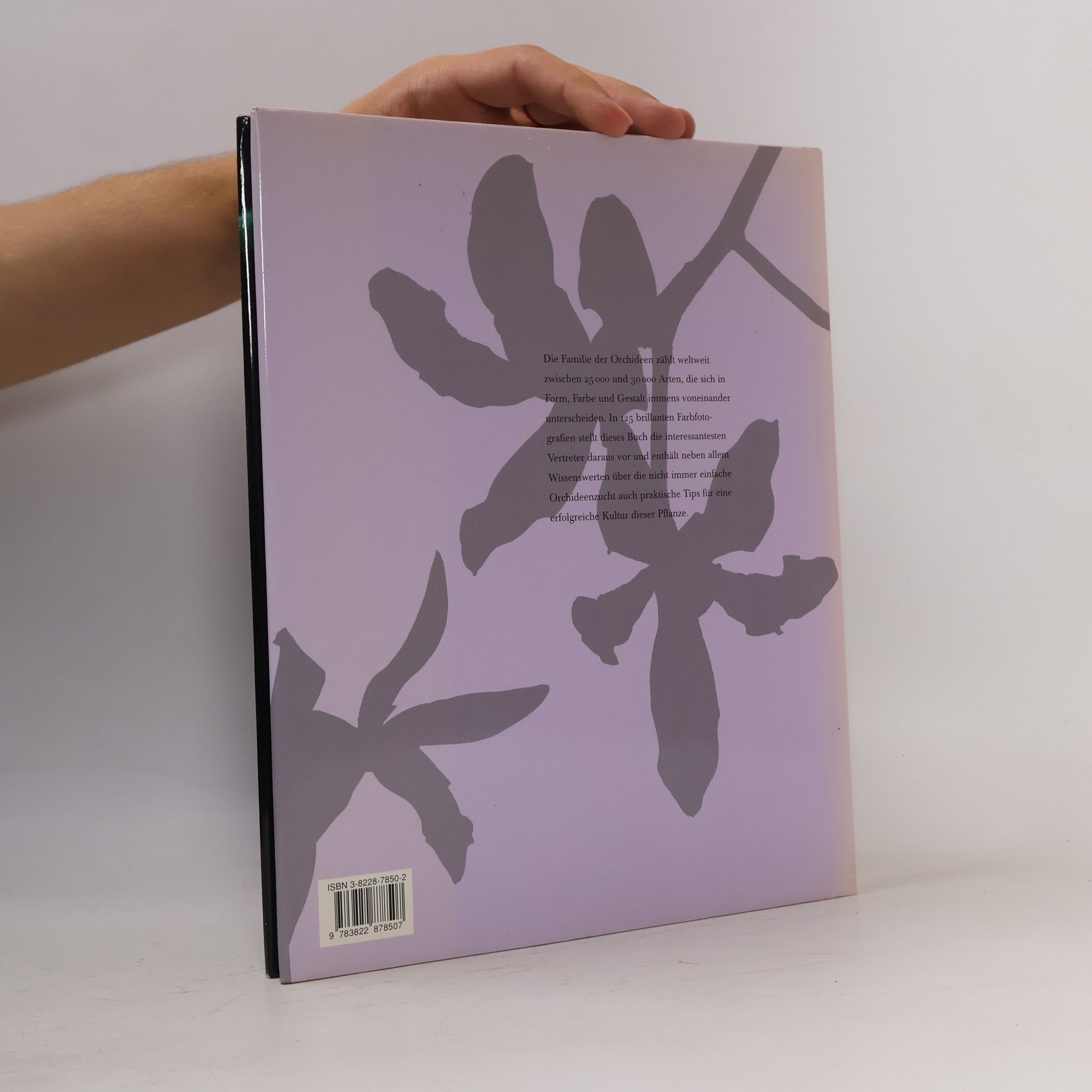 Paul Starosta Orchideen