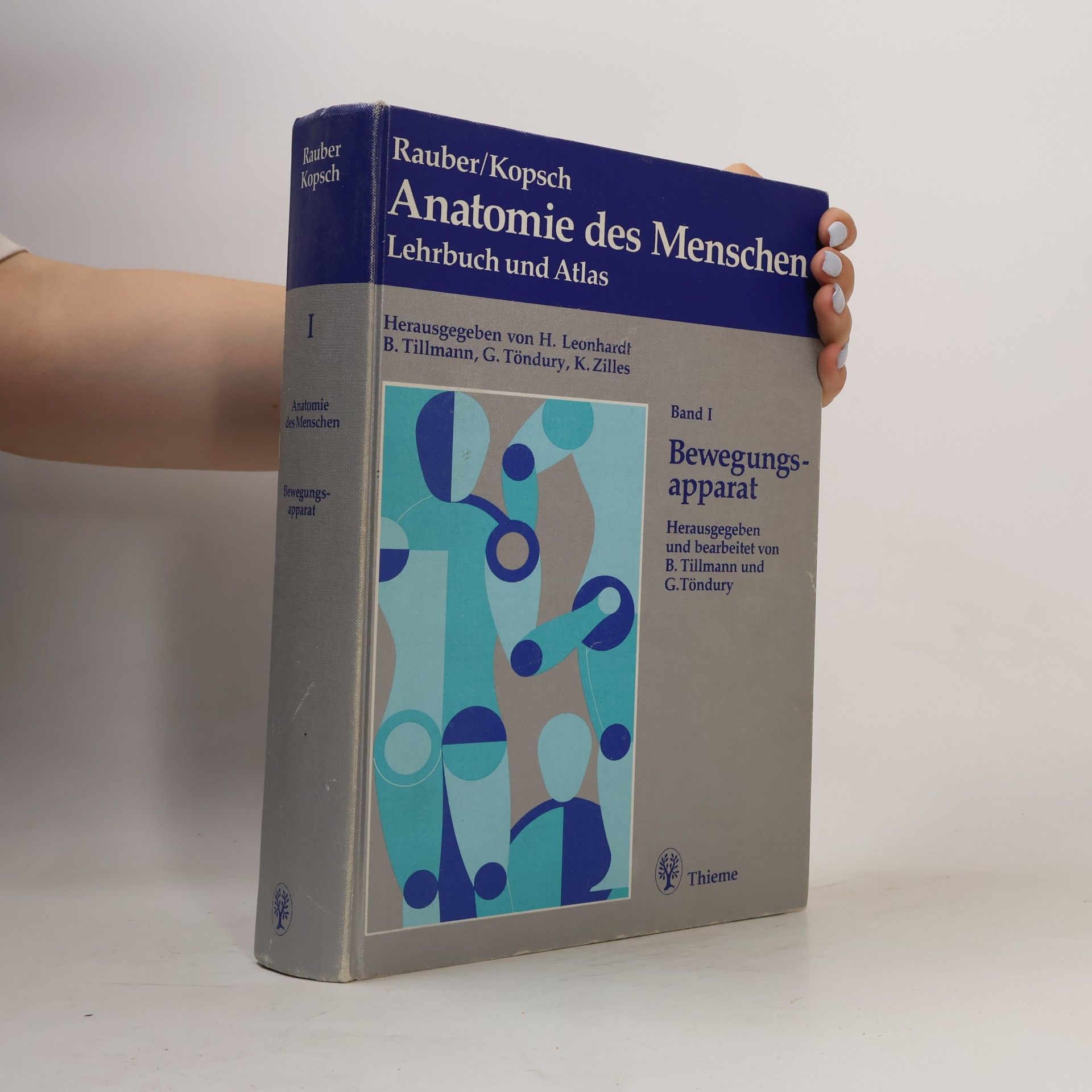 Anatomie des Menschen