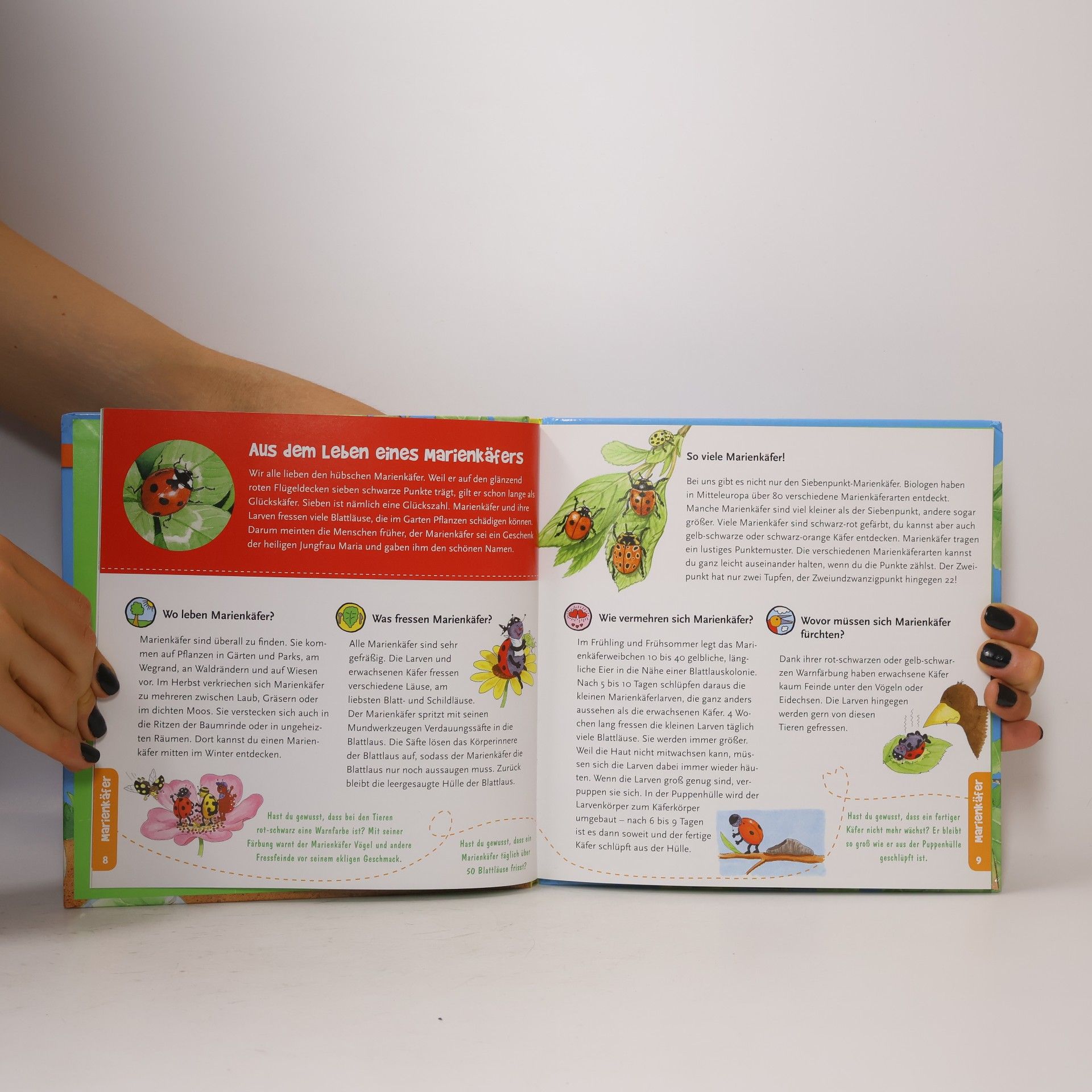 Bärbel Oftring Mein erstes Becherlupen-Buch