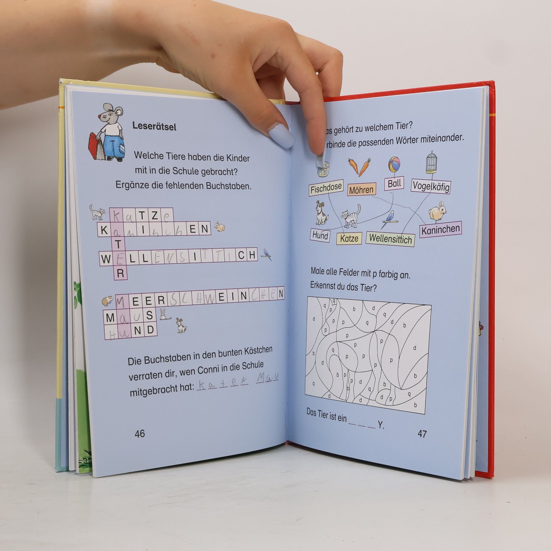 Autores varios Conni-Geschichten zum Lesenlernen