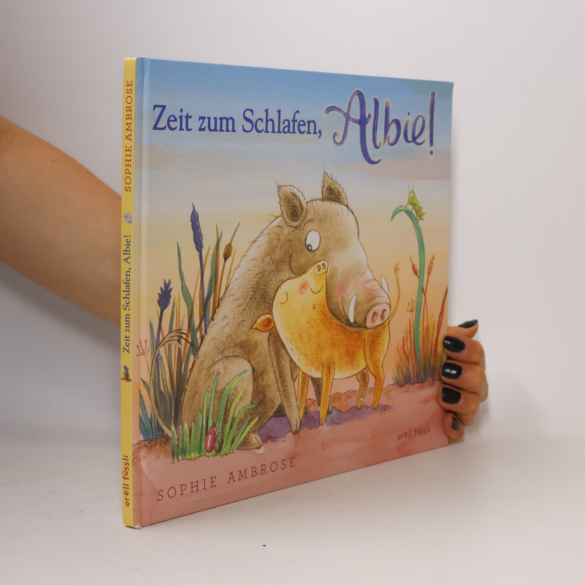 Sophie Ambrose Zeit zum Schlafen, Albie!