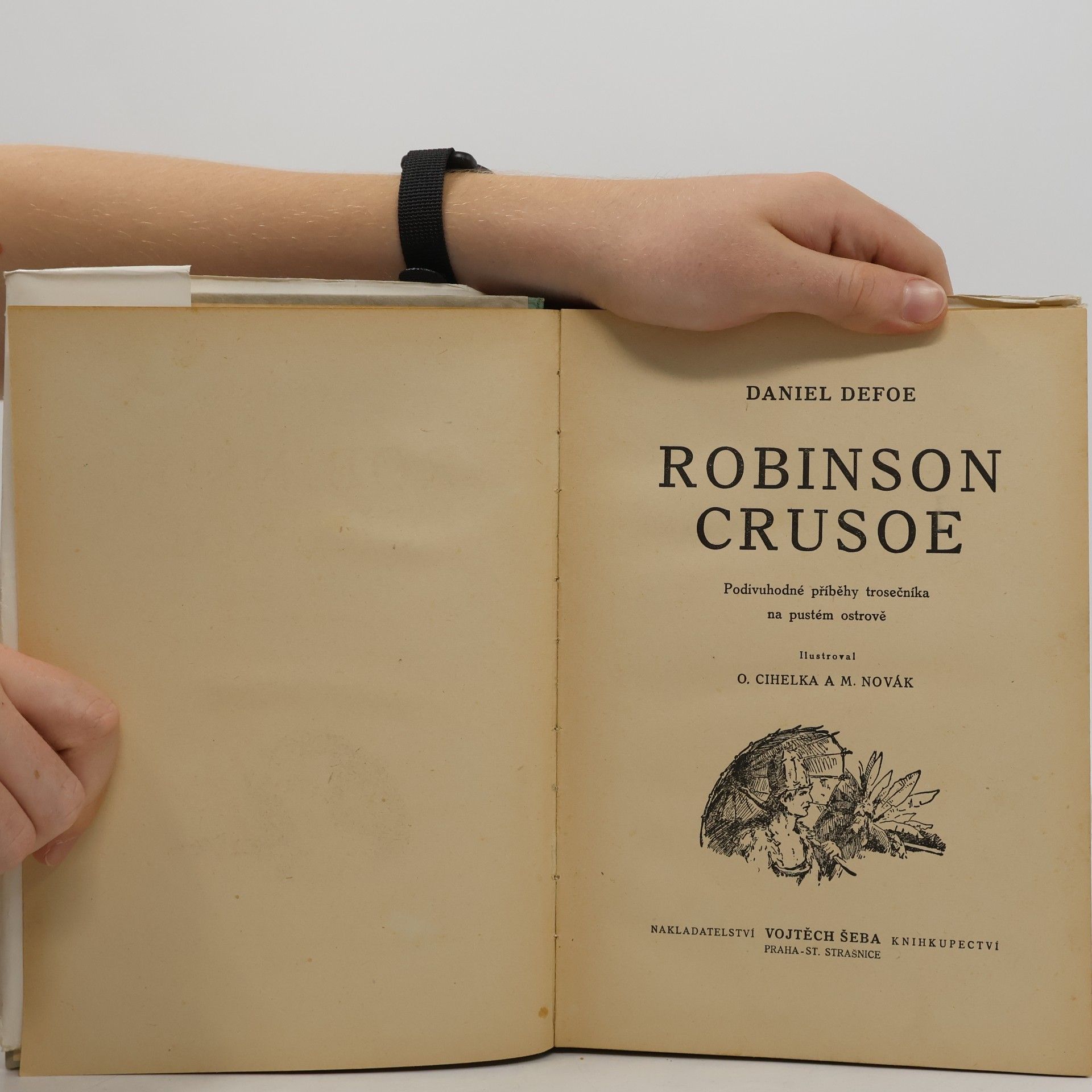 Daniel Defoe Robinson Crusoe. Podivuhodné příběhy trosečníka na pustém ostrově