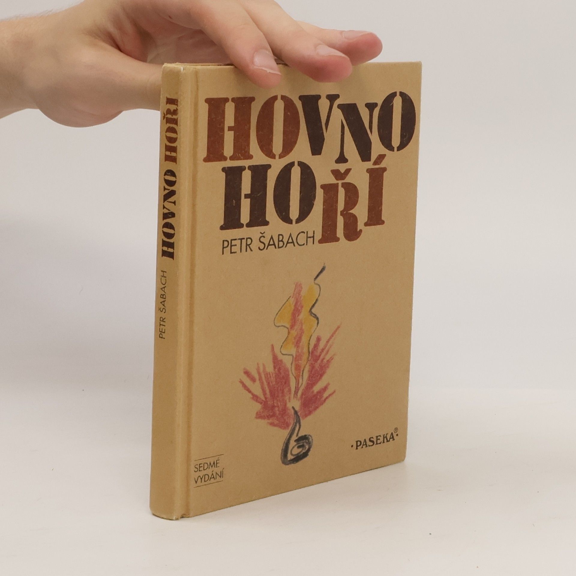 Petr Šabach Hovno hoří