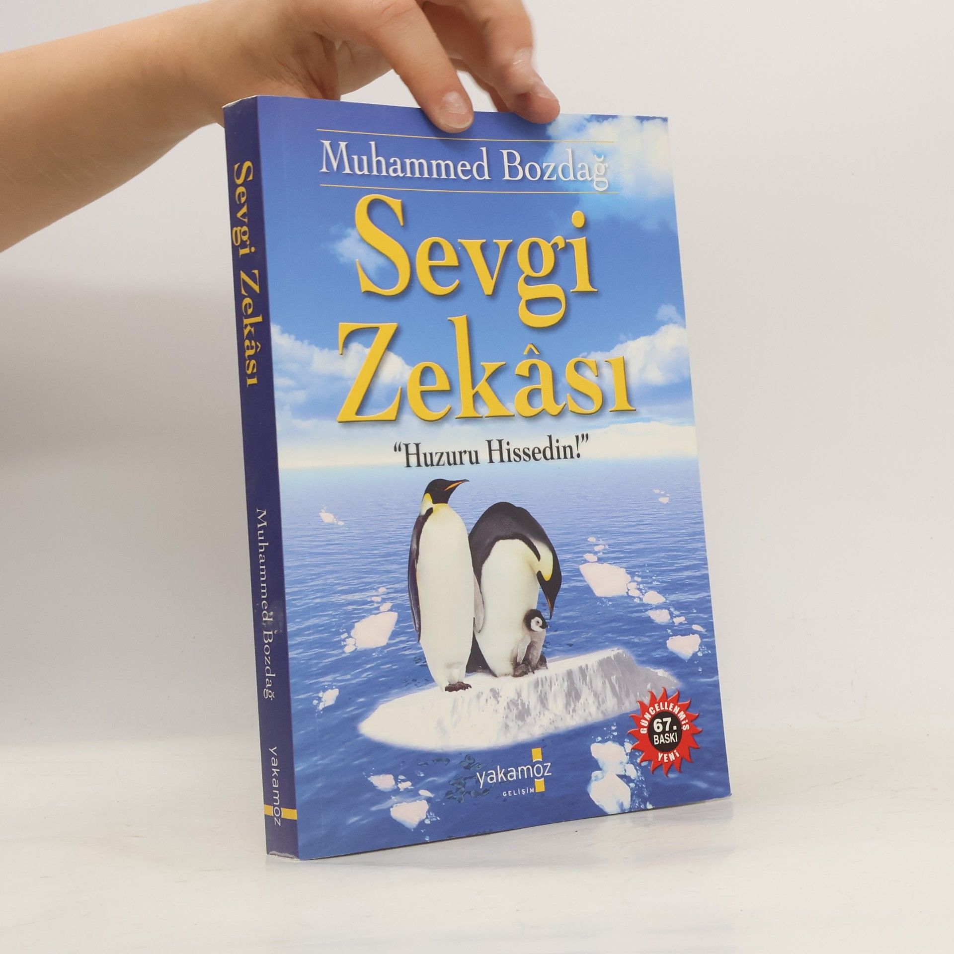 Sevgi Zekâsı