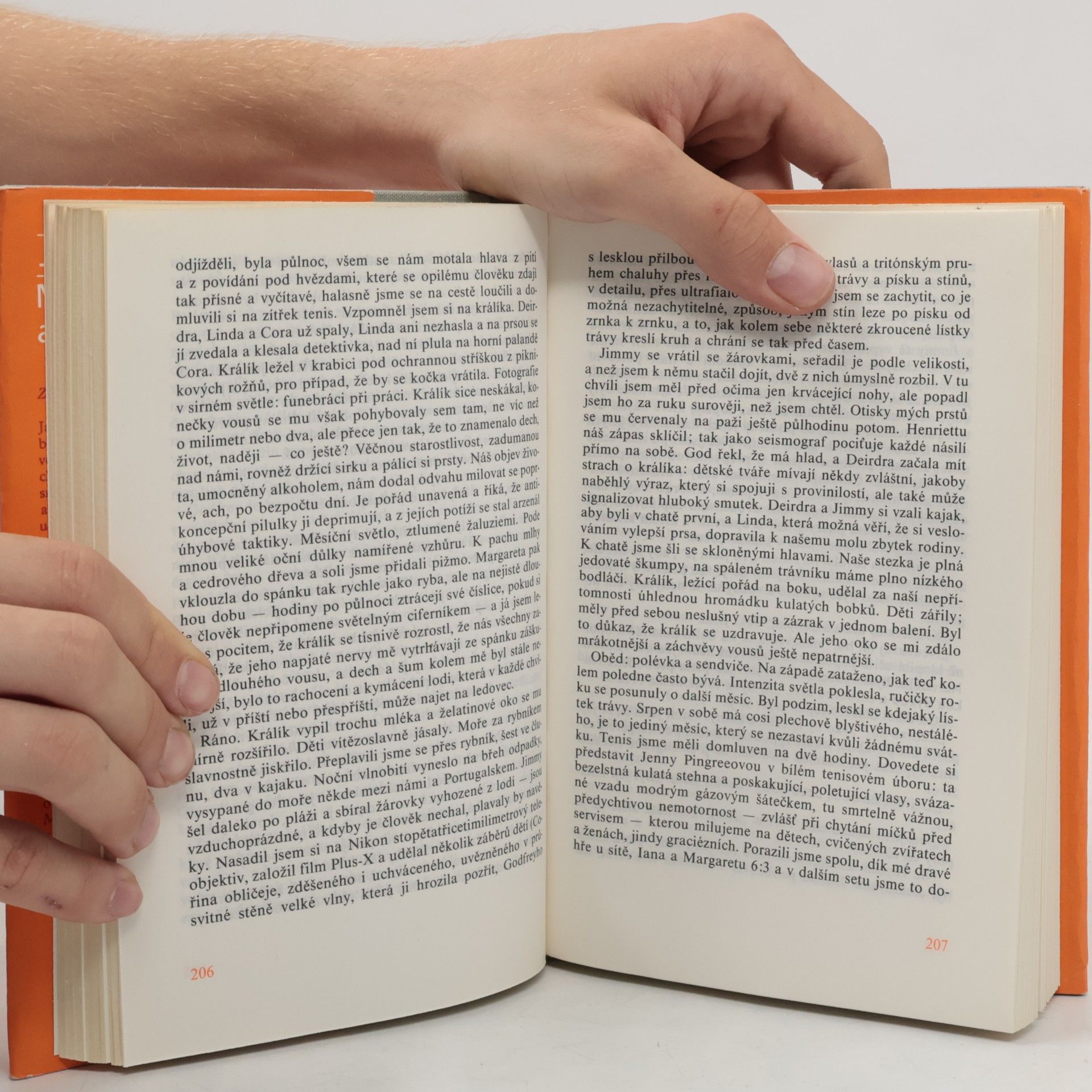 John Updike Milenci a manželé