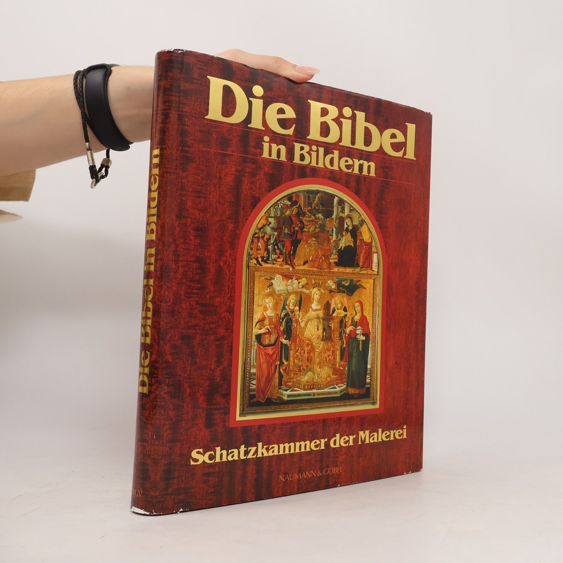 Autorenkollektiv Die Bibel in Bildern. Schatzkammer der Malerei